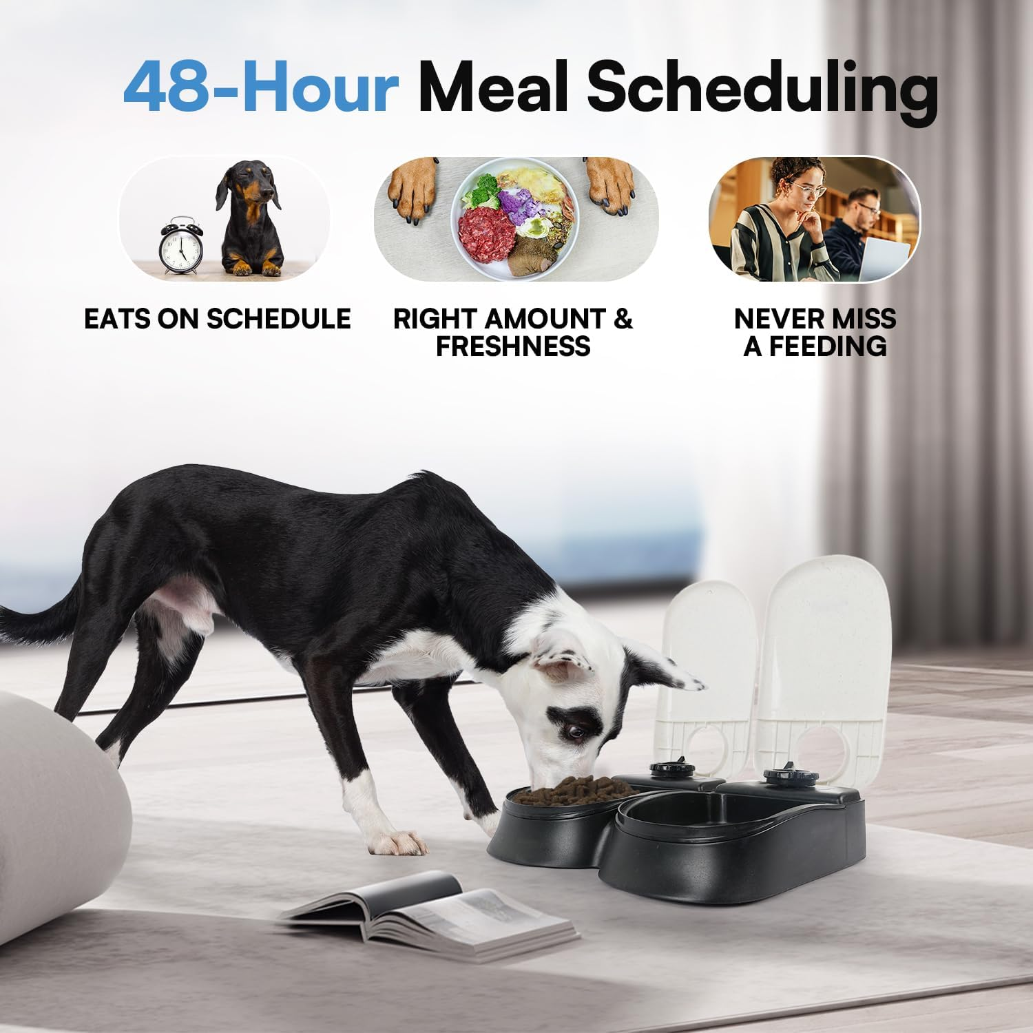 Ein Hund frisst aus einem Futterspender; oben sind drei Bilder: ein Hund mit Uhr, eine Schüssel mit Futter, zwei Personen.