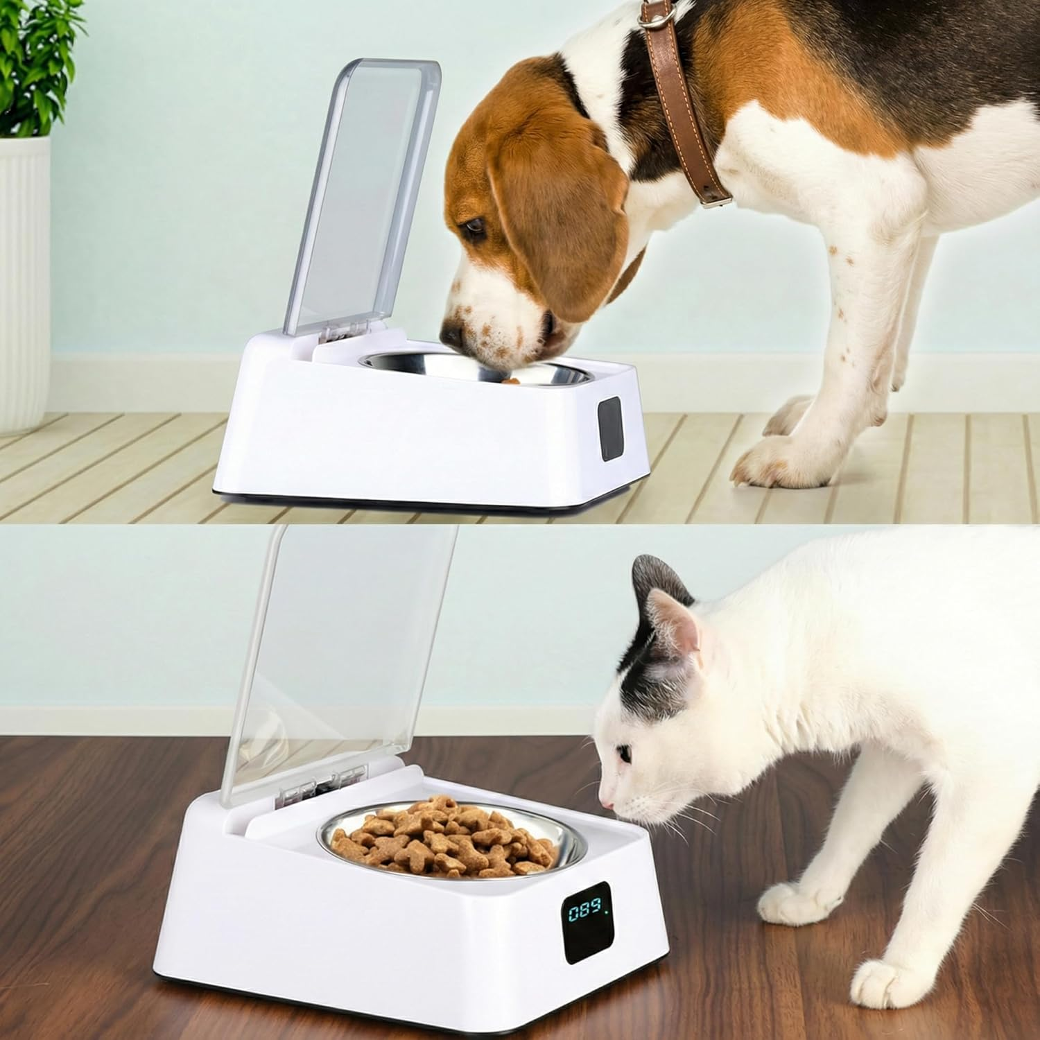 Ein Beagle frisst aus einem automatischen Futterspender. Eine Katze frisst aus einem automatischen Futterspender.