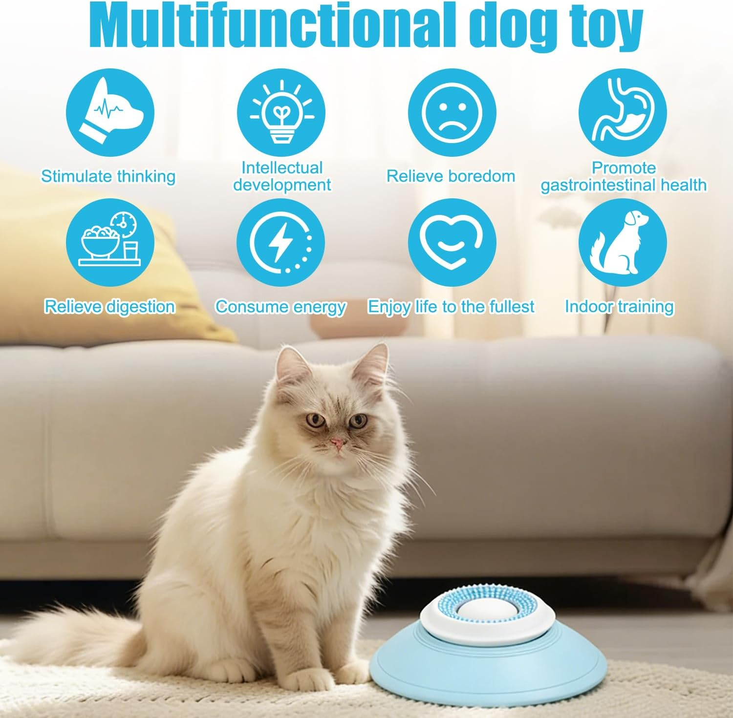 Eine Katze sitzt neben einem multifunktionalen Hundespielzeug auf einem Teppich.