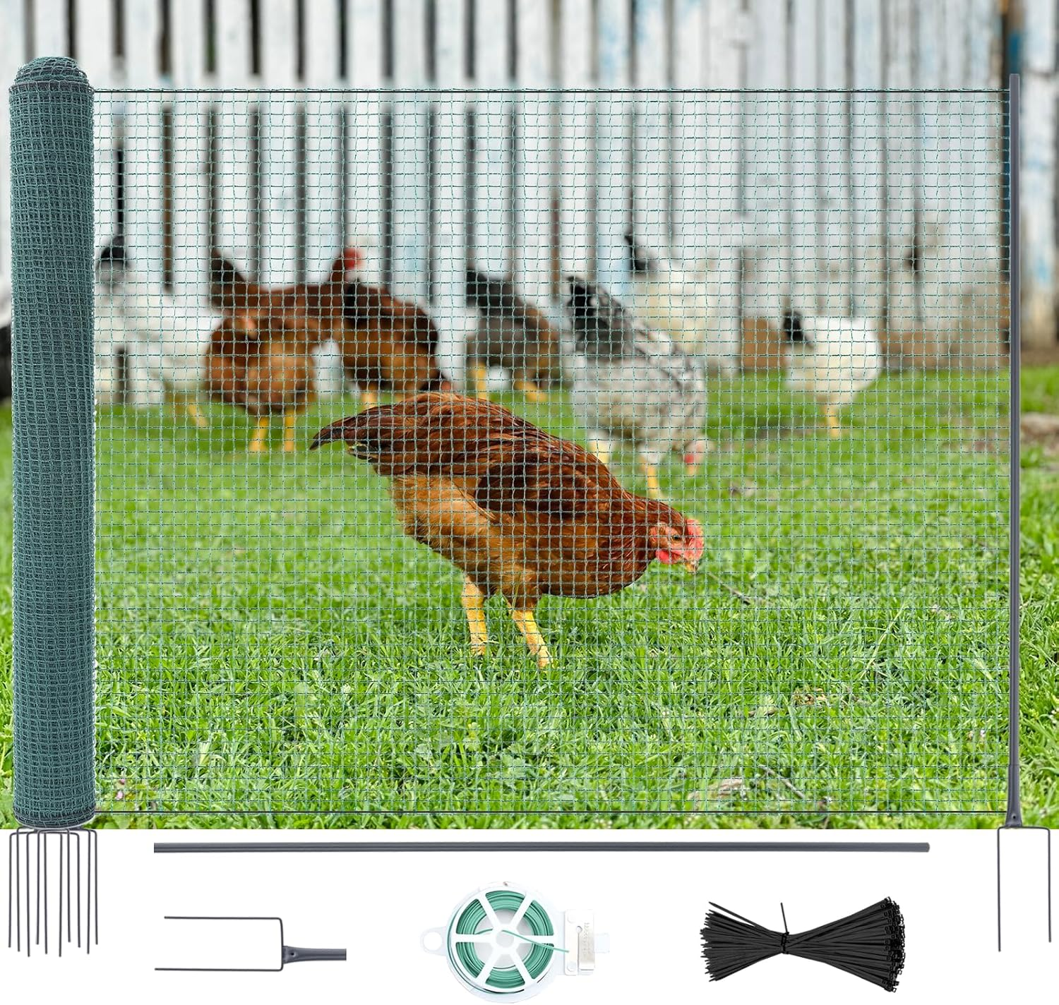 Ein Huhn steht auf grasigem Boden vor einem grünen Netz und einem Holzzaun.