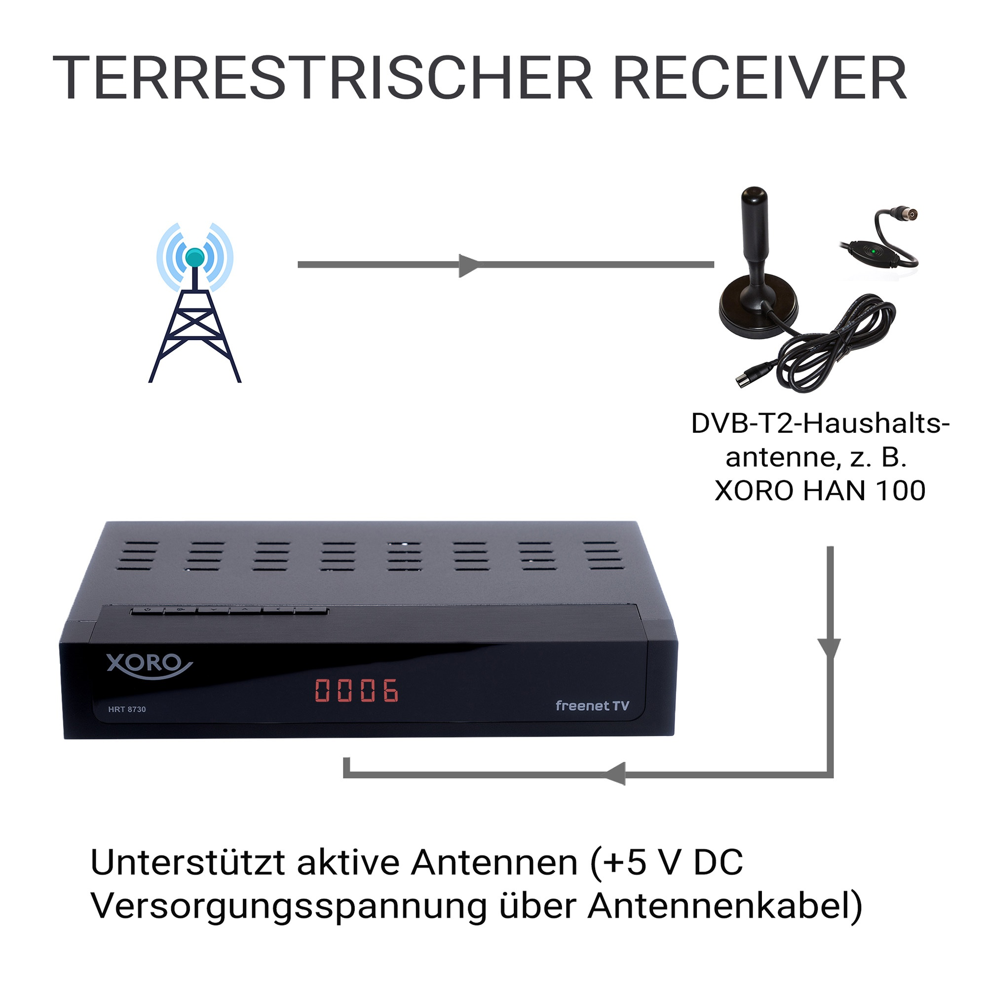 Schema zeigt einen terrestrischen Receiver, Antenne und Verbindungen.