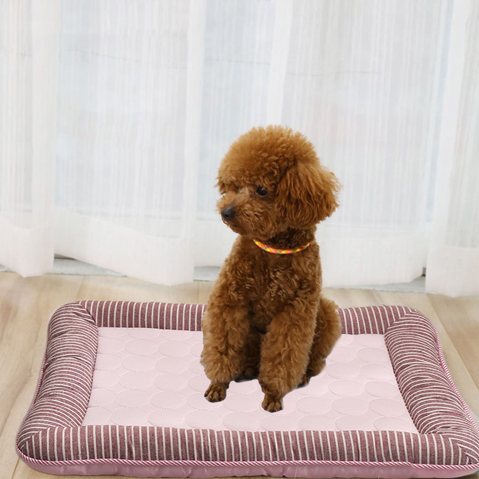 Ein brauner Pudel sitzt auf einer rosa Hundematte mit braunen Streifen.