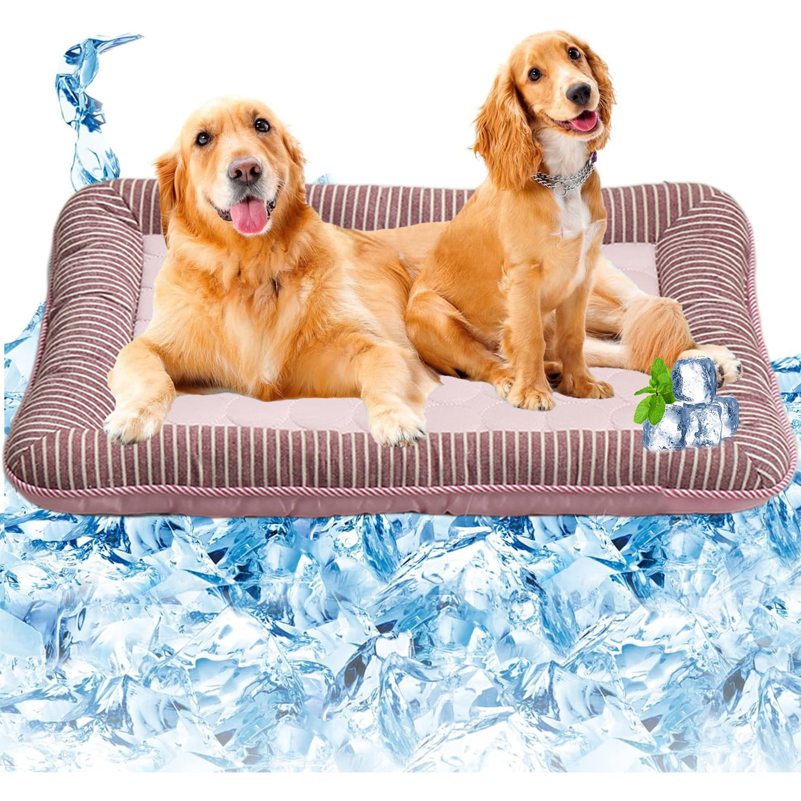 Zwei Hunde liegen auf einer Kühlmatte über Eiswürfeln. Golden Retriever und Spaniel.