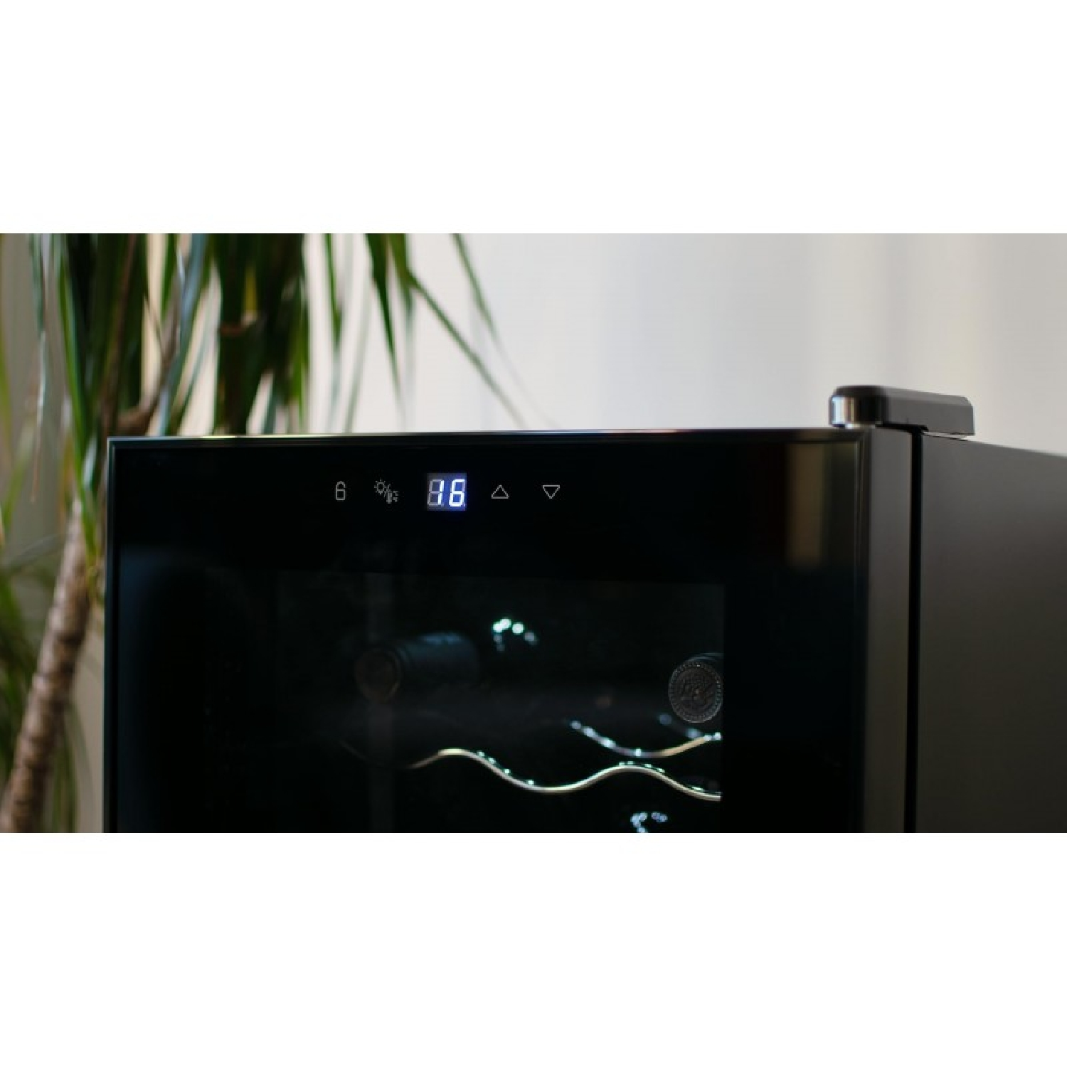 Cantinetta vino nera con porta in vetro e display digitale. Piante sullo sfondo.