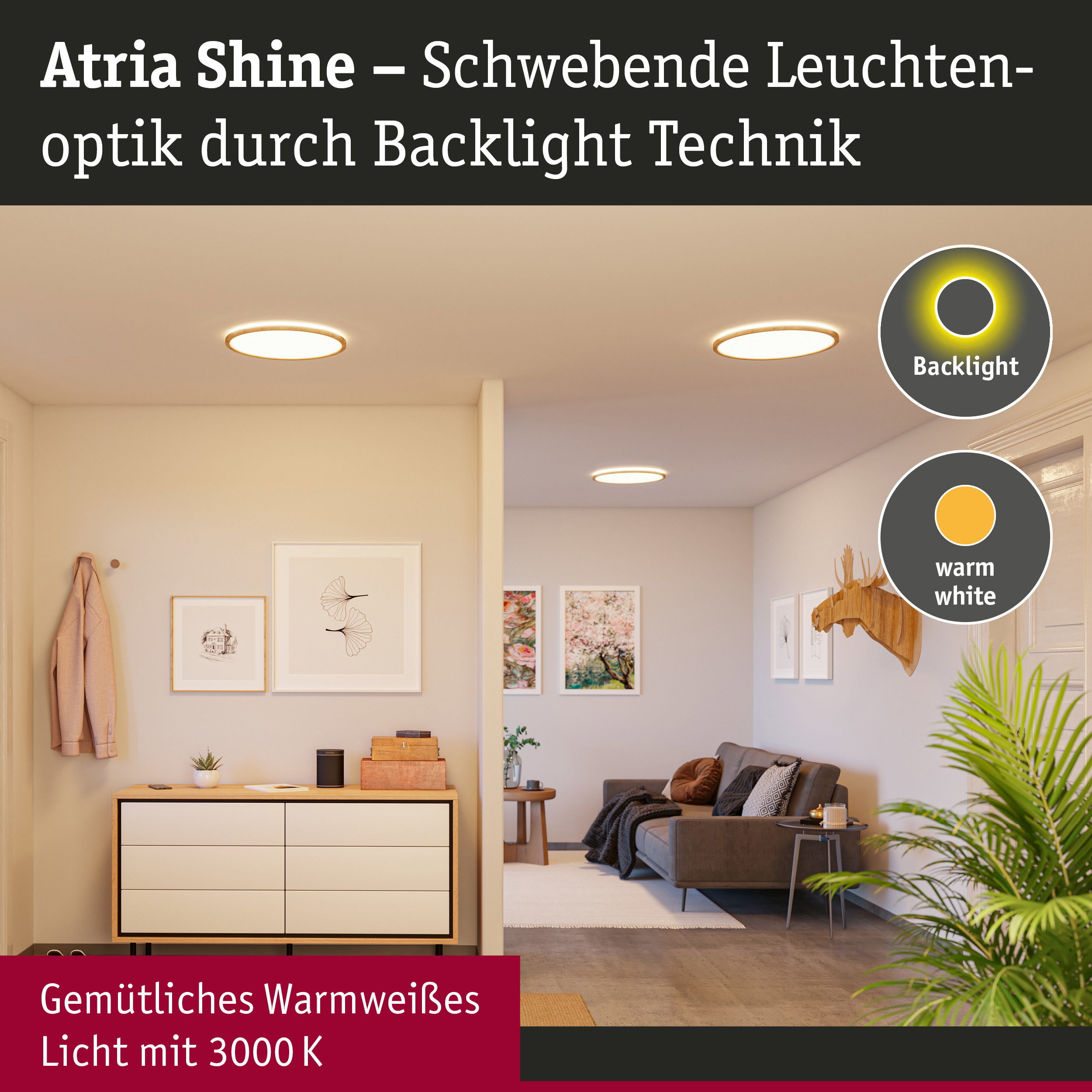 Helles Wohnzimmer mit Deckenleuchten, Möbeln und Dekoration.