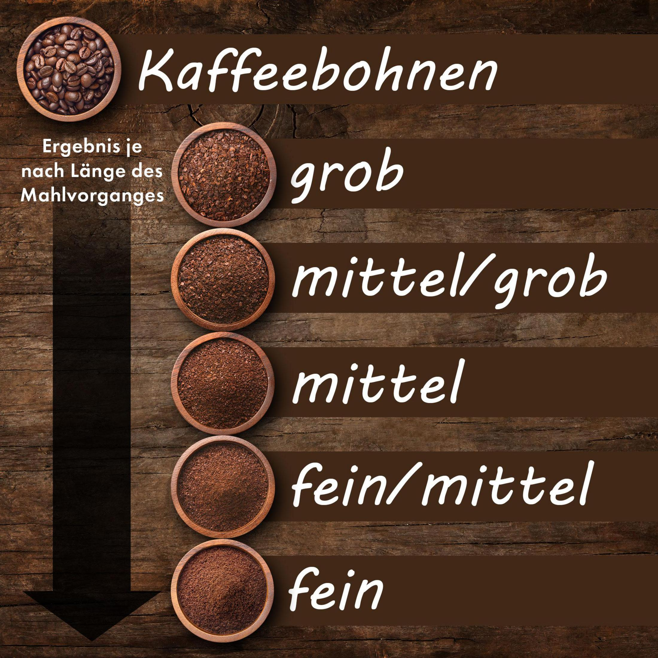 Caffè in grani mostrato in diverse granulometrie: da grossolano a fine.
