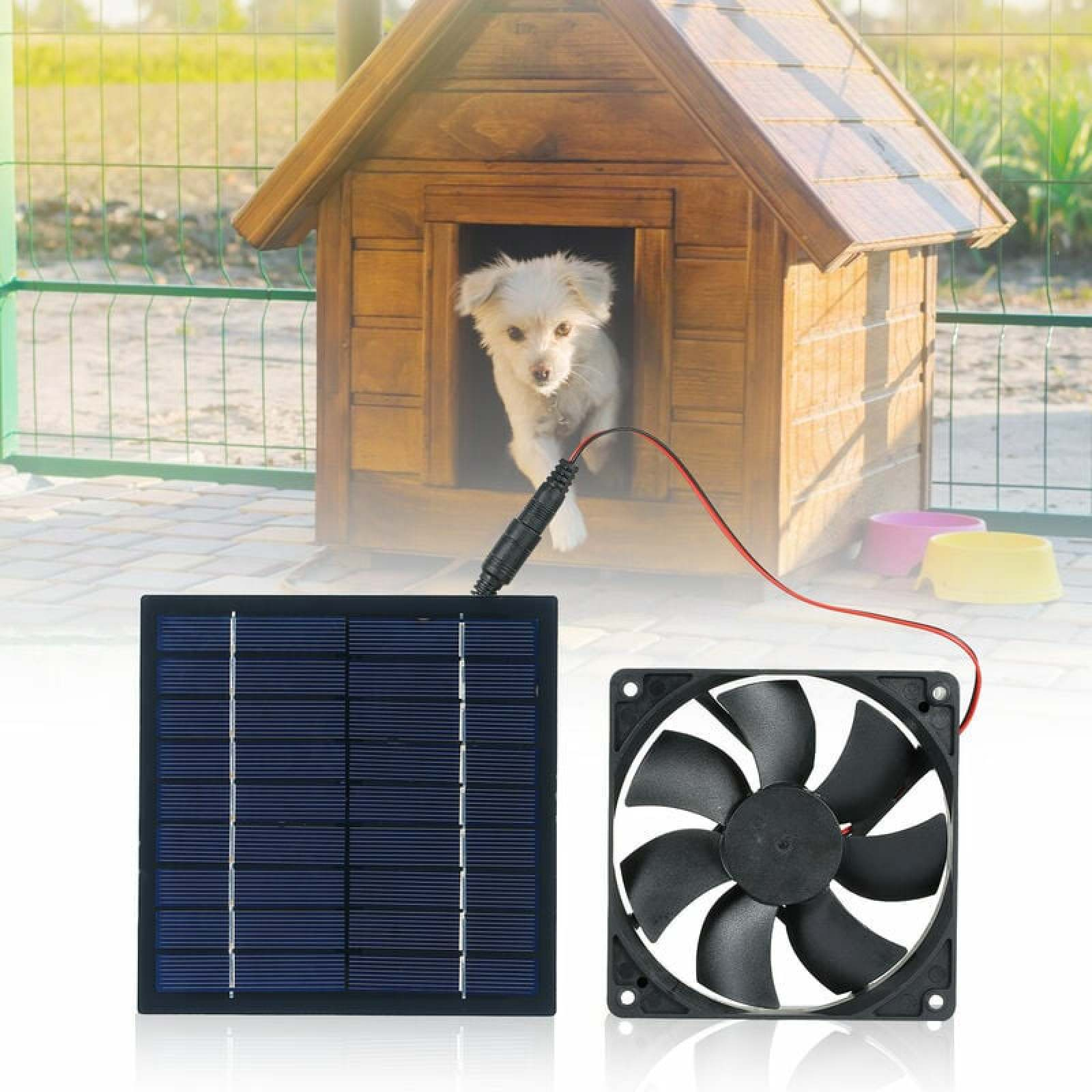 Ein kleiner Hund schaut aus einem Holzhaus, daneben Solarpanel und Lüfter.