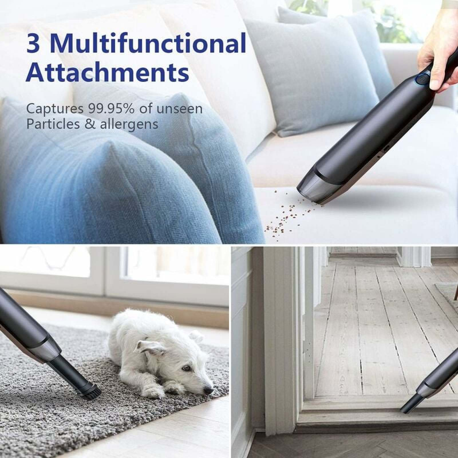 Handstaubsauger reinigt Sofa, Teppich und Holzboden. Ein Hund liegt auf dem Teppich.