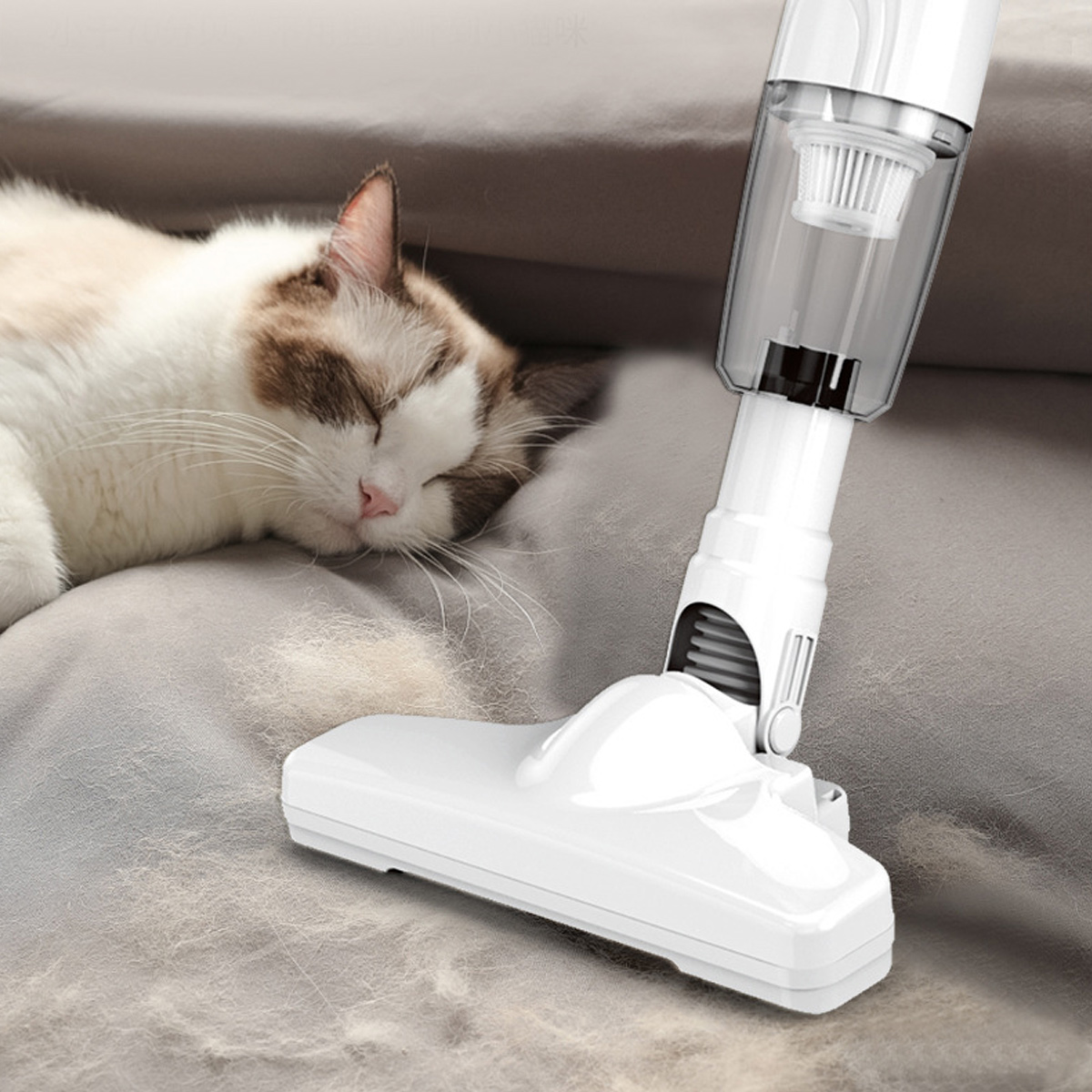 Eine Katze schläft, während ein weißer Staubsauger Staub aufsaugt.