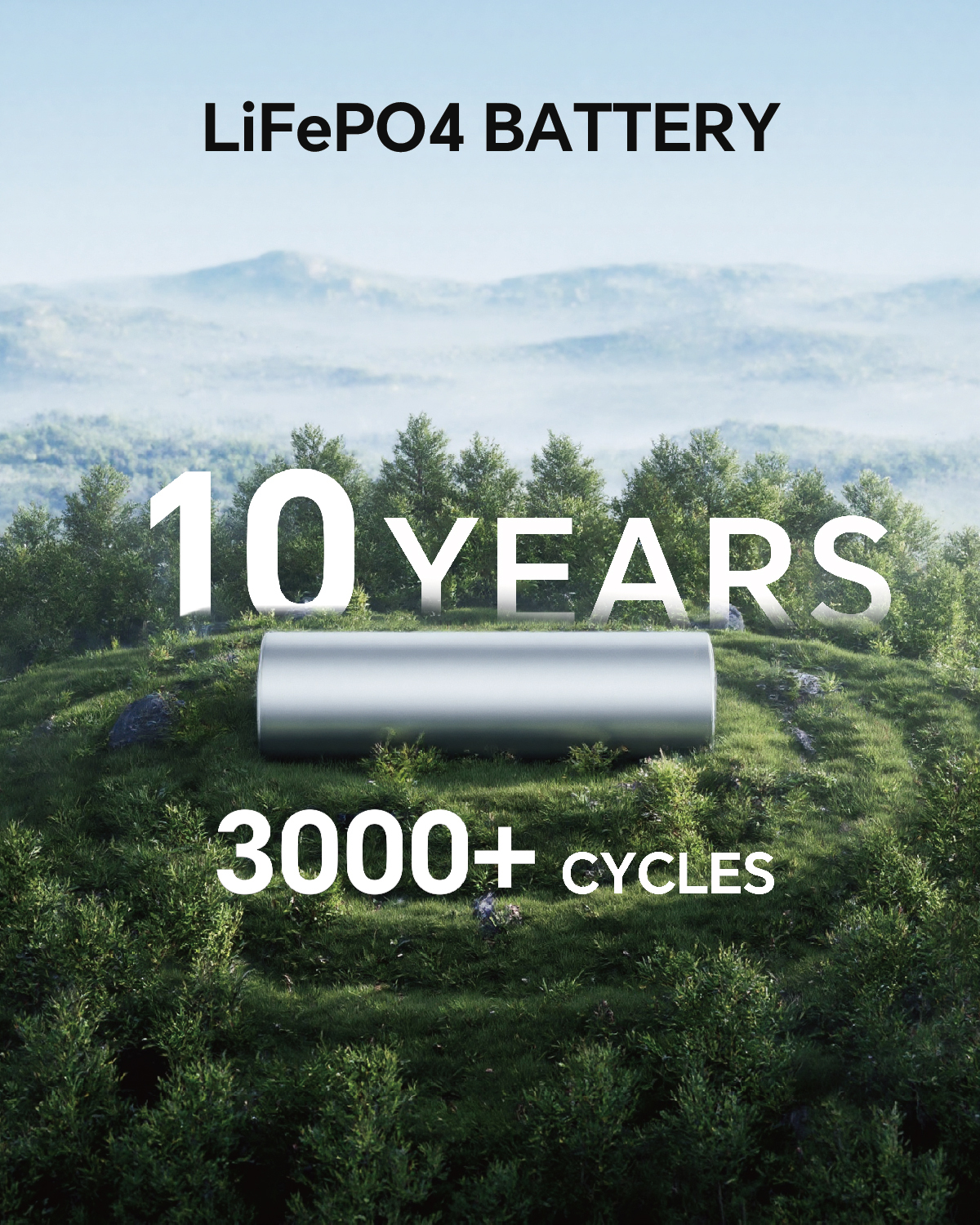 Batería LiFePO4 con 10 años y más de 3000 ciclos en un bosque.