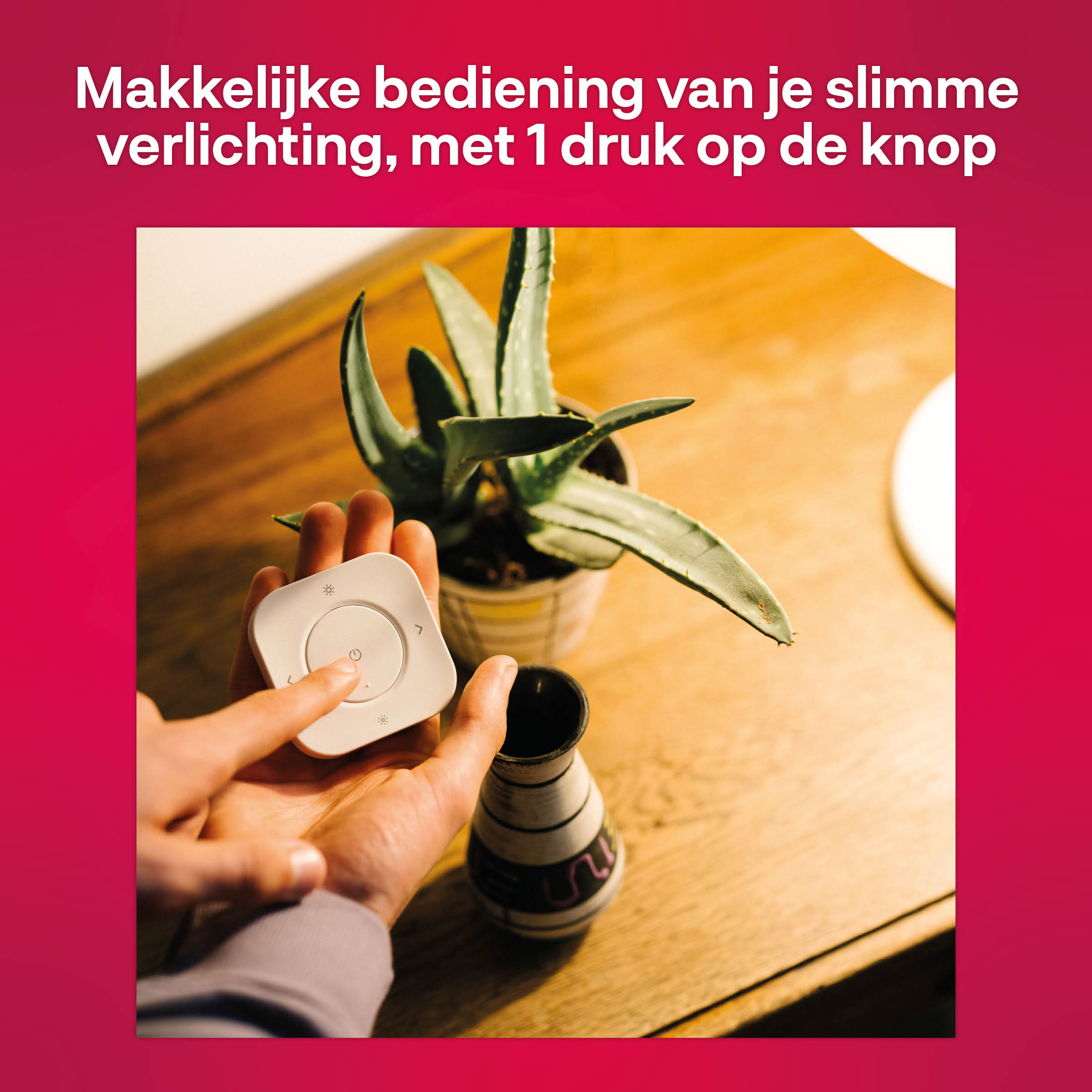 Een hand houdt een witte afstandsbediening vast met een aan/uit-symbool. Een plant en vaas staan ernaast.