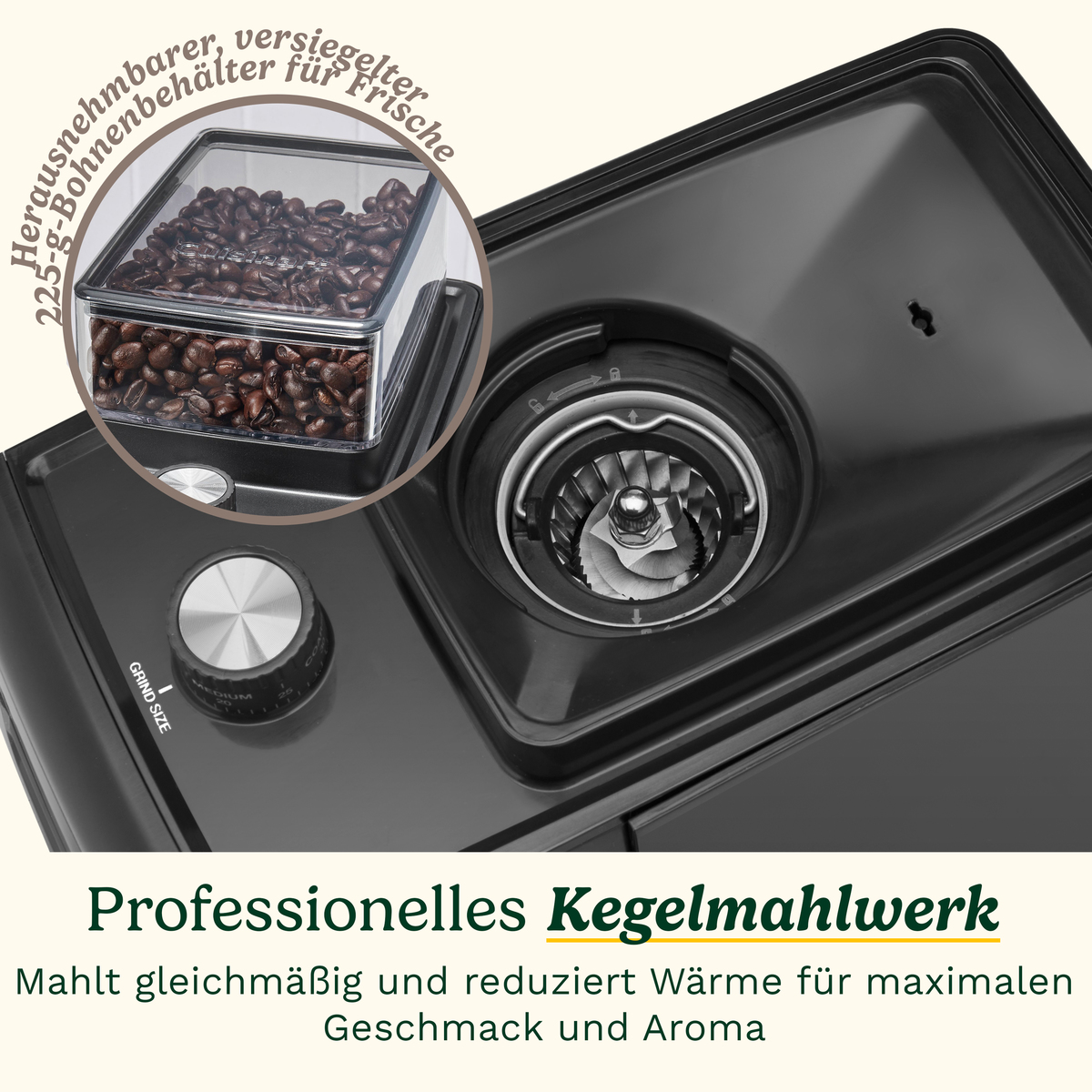 Kaffeemühle mit Bohnenbehälter und Kegelmahlwerk, mit Einstellknopf.