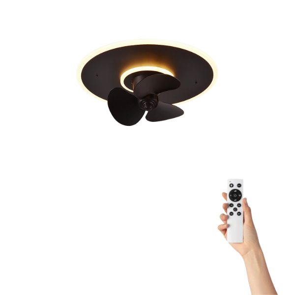 Luce ventilatore da soffitto scuro con telecomando in mano.