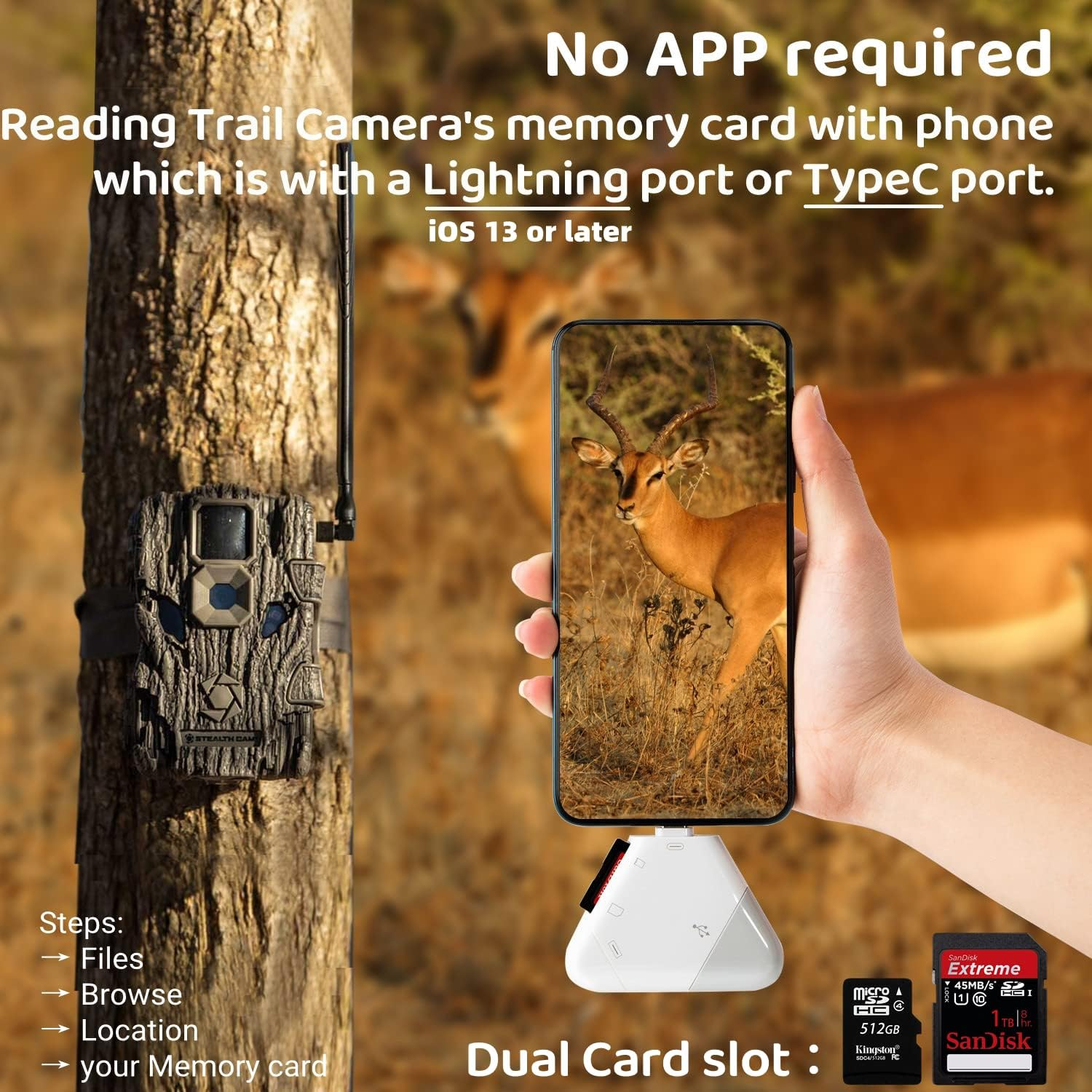 Trail-Kamera mit Smartphone und Speicherkartenleser, zeigt Antilope.