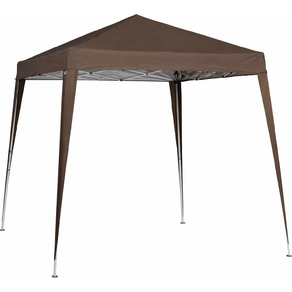 Una tenda canopy marrone con pali argentati si erge su sfondo bianco.