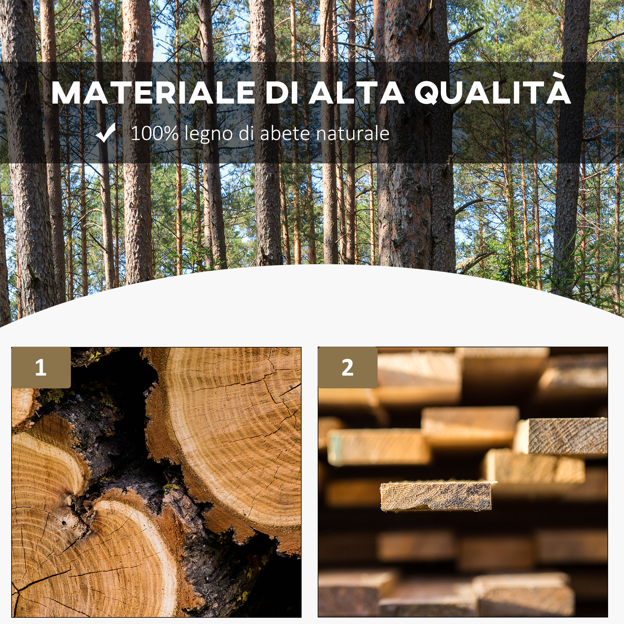 Foresta con pini e sovrapposizione di testo. Sotto: tronchi d'albero e assi di legno.