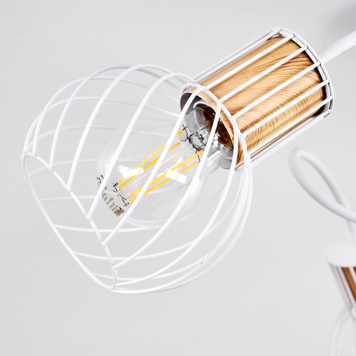 Ein weißer Drahtkäfig umgibt eine klare Edison-Glühbirne mit Holzakzent.