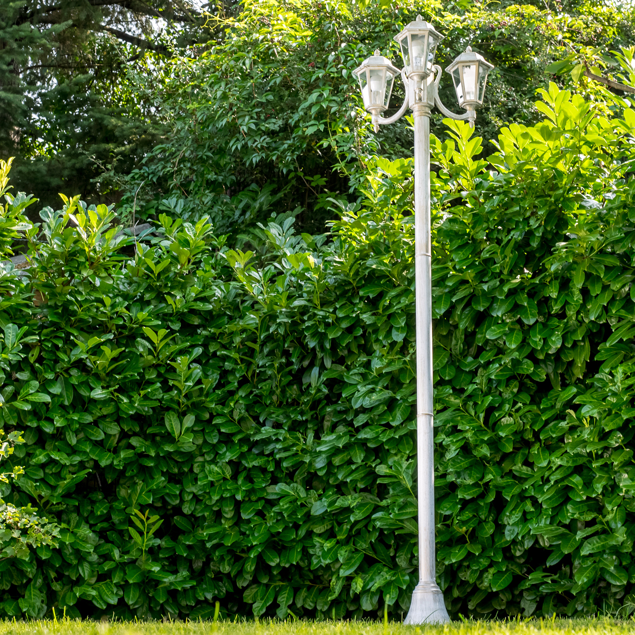 Ein weier Laternenpfahl steht vor einer dichten grünen Hecke.