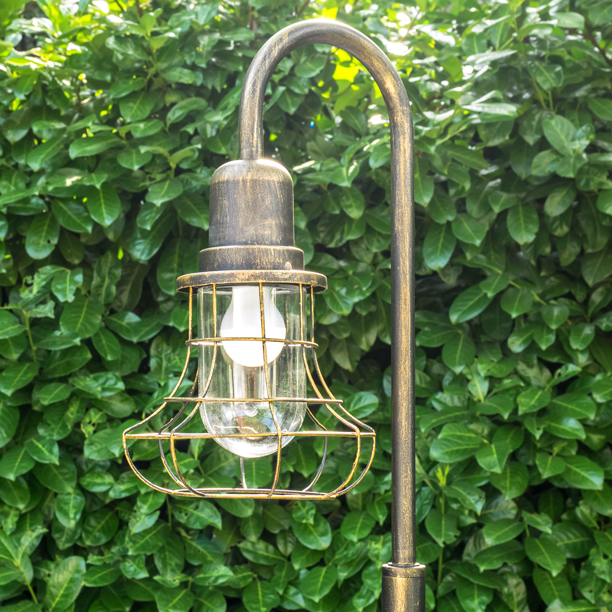 Eine bronzefarbene Laterne mit Glaskolben und Drahtkorb vor grünen Blättern.