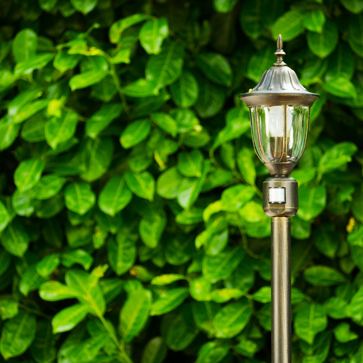 Eine bronzene Außenlampe steht vor einem Hintergrund aus üppig grünen Blättern.