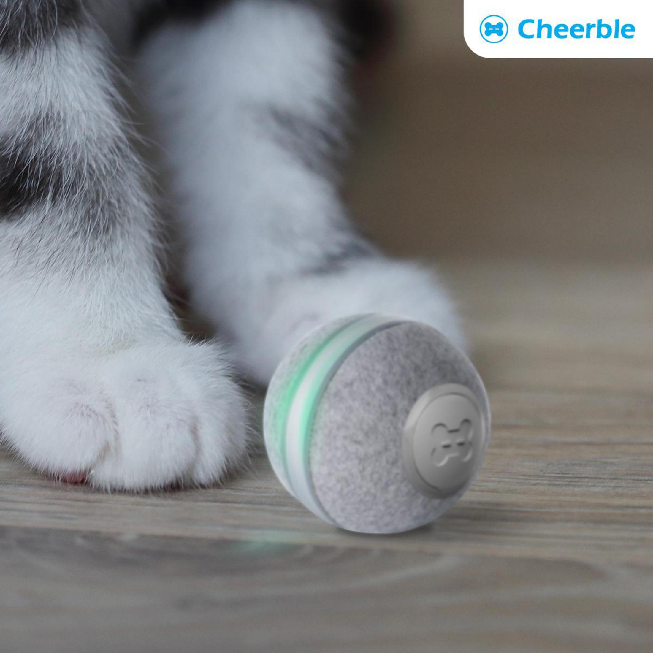 Palla grigia con strisce verdi vicino a zampe di gatto su pavimento in legno.