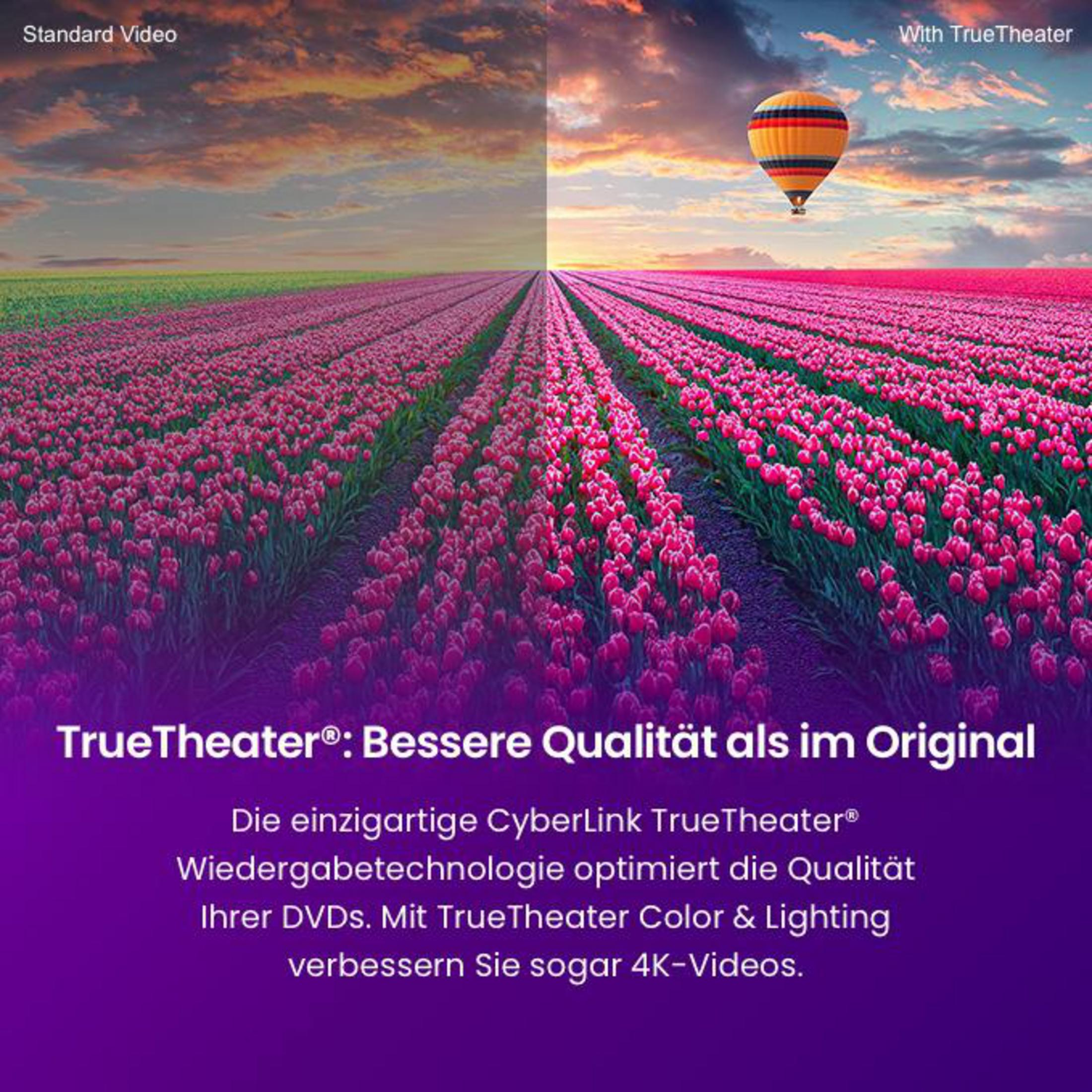 Campo di tulipani e mongolfiera sotto un cielo drammatico.