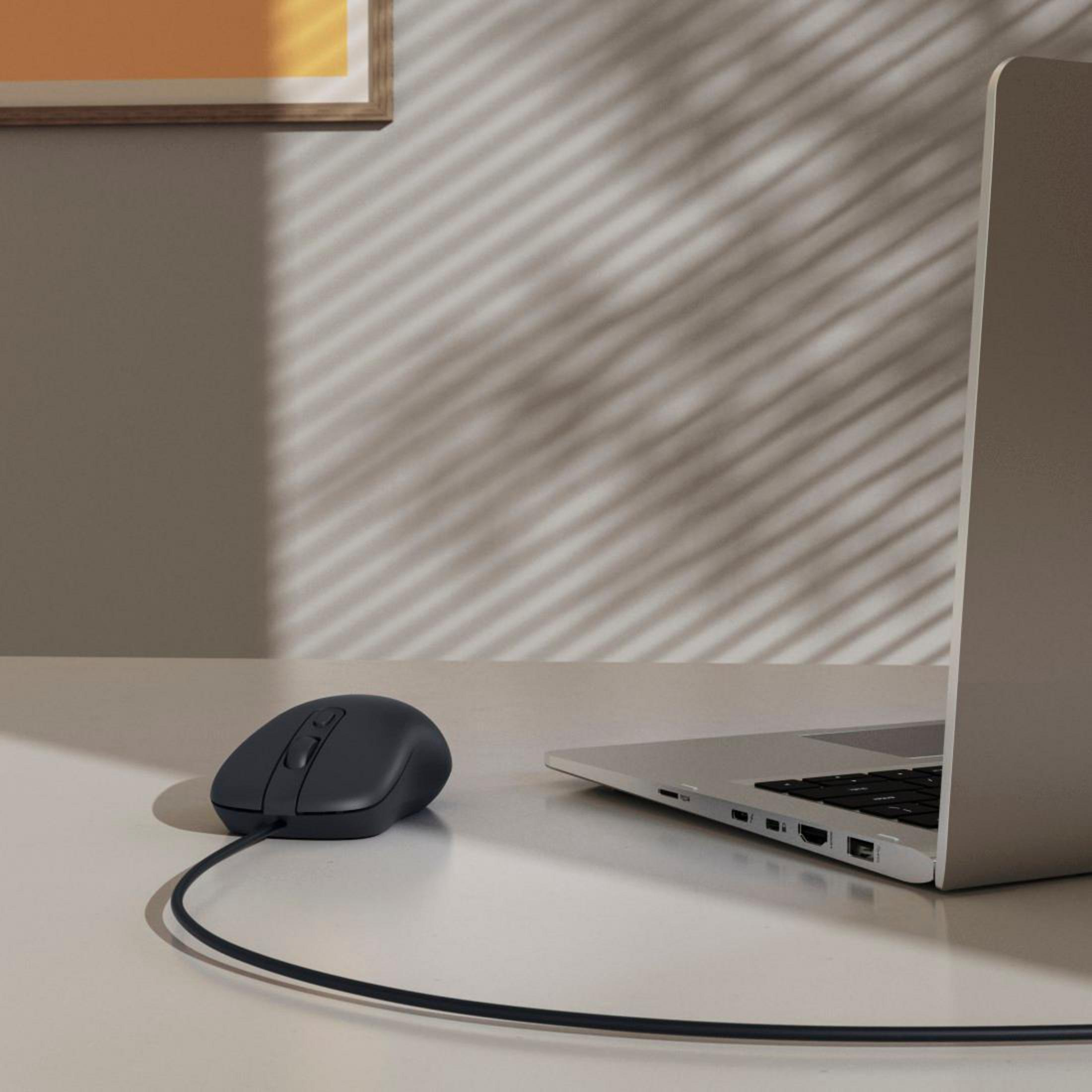 Un mouse scuro e un laptop su una scrivania chiara.