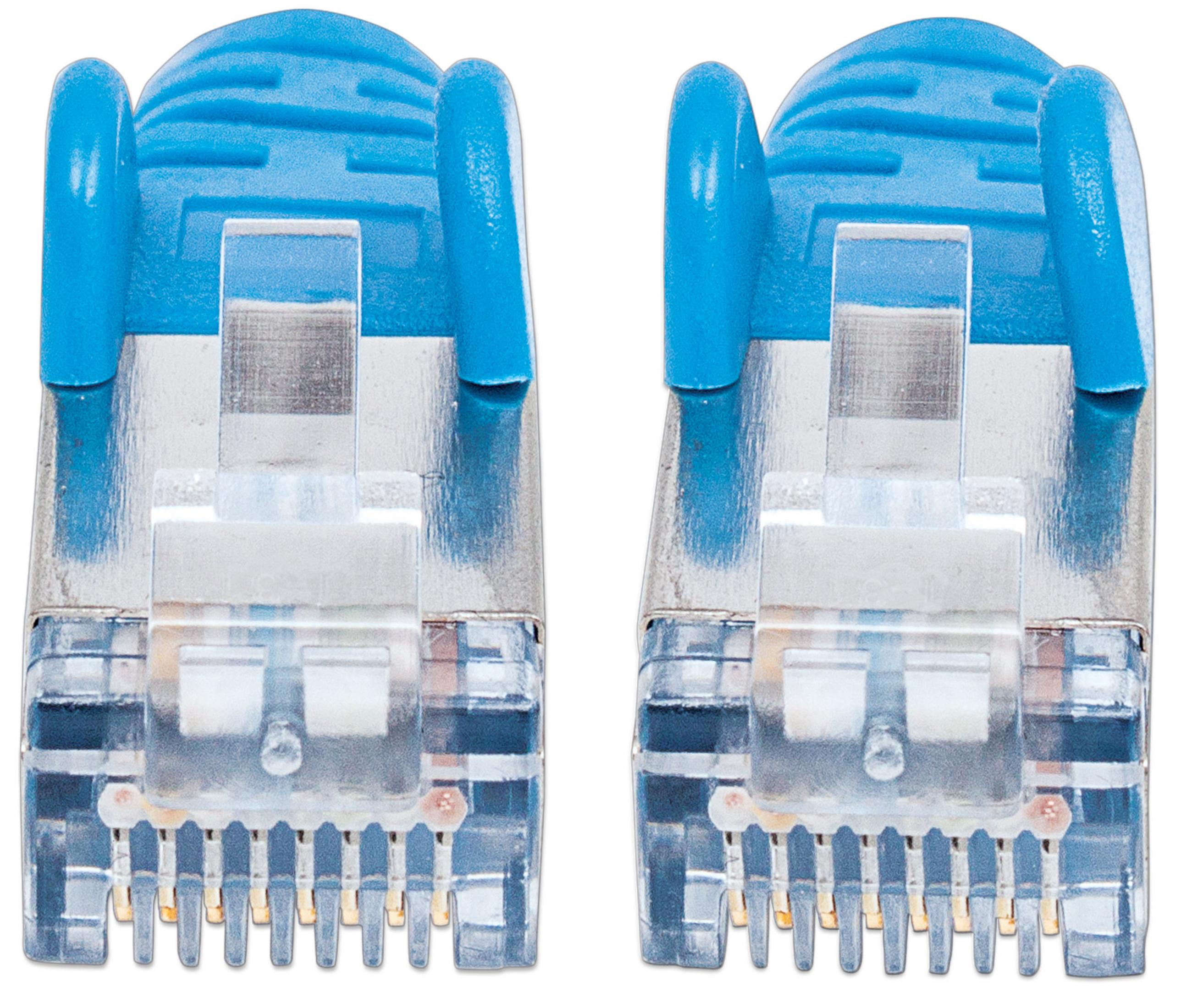 Due connettori Ethernet blu con alloggiamenti trasparenti e contatti metallici.