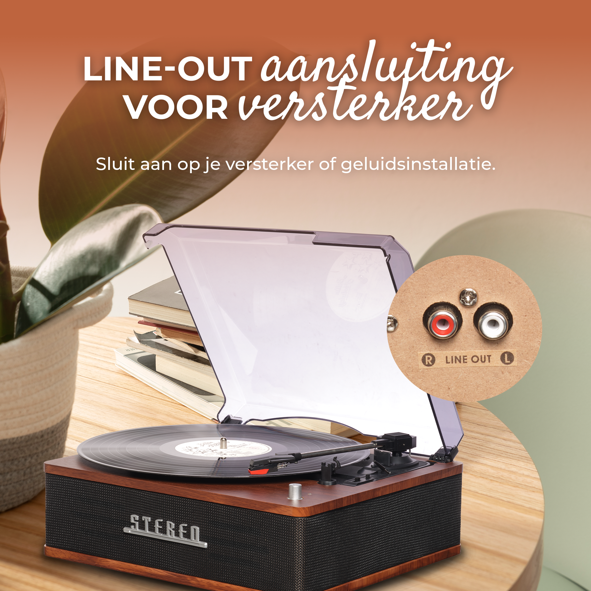 Platine vinyle avec ports LINE OUT pour amplificateur, à côté de livres et d'une plante.