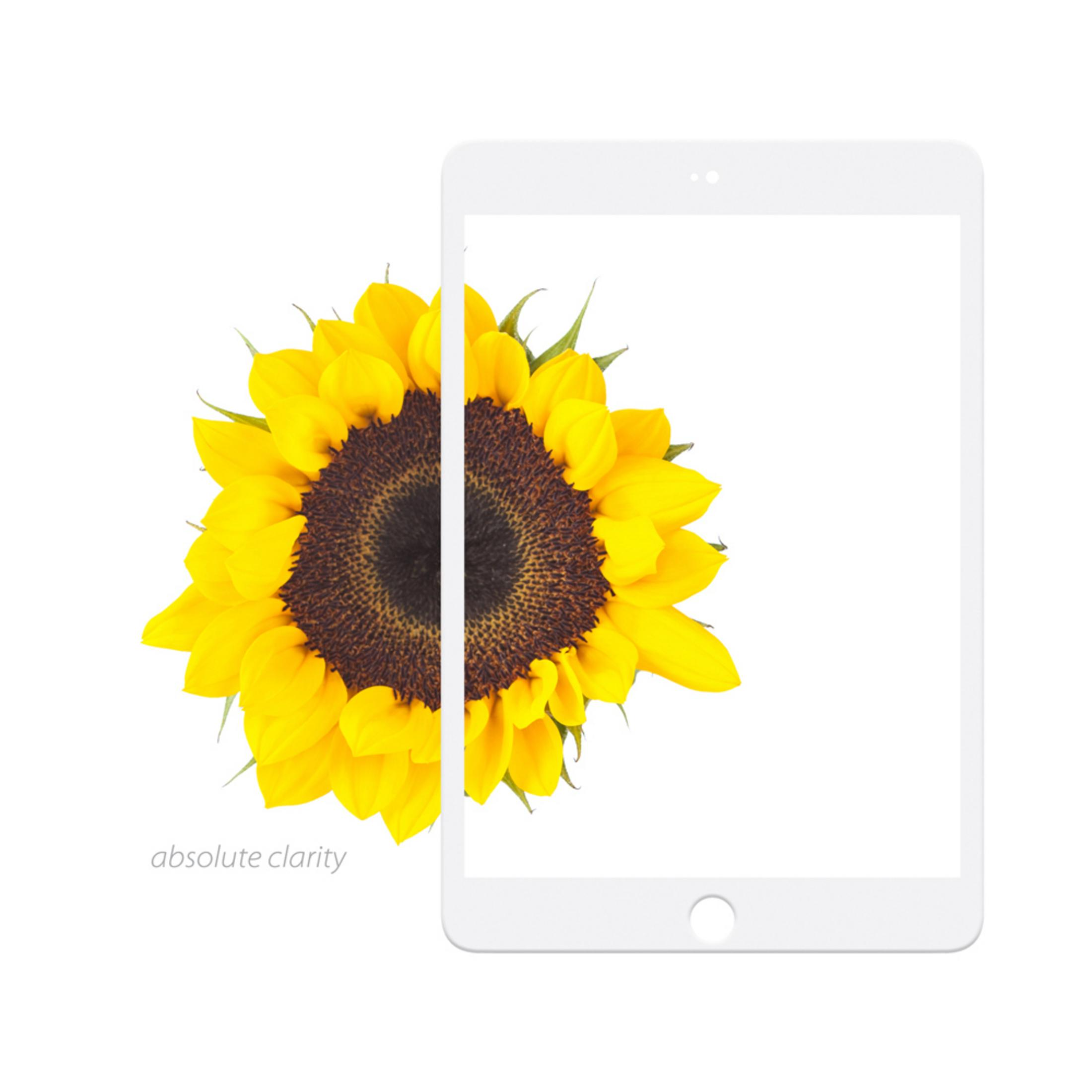 Un girasole sovrapposto dallo schermo di un tablet. Testo: 'absolute clarity'.