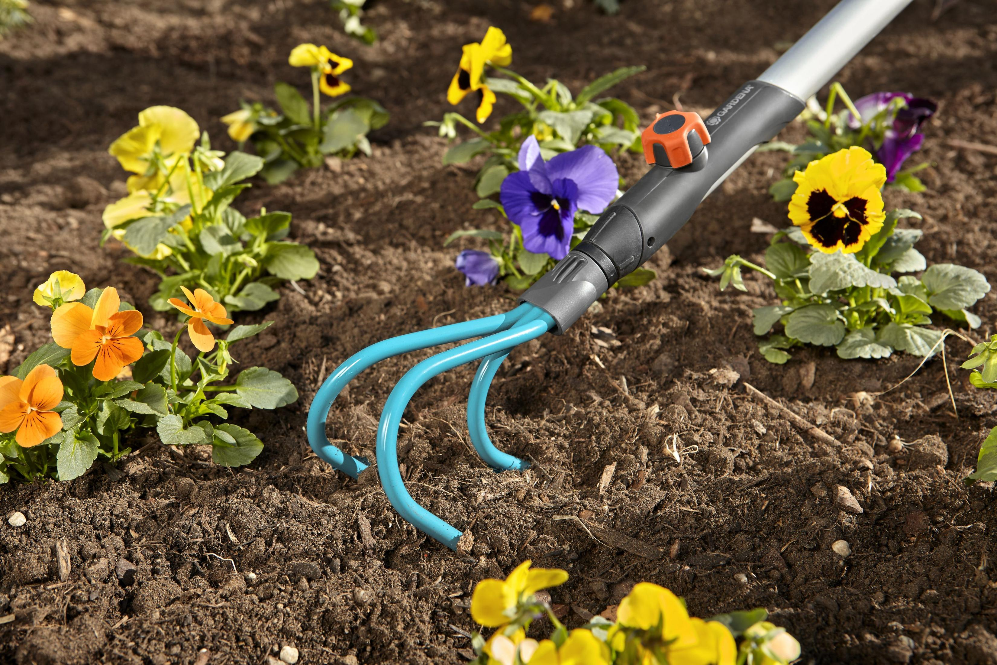 A garden hand cultivator with blue tines is in brown soil near pansies.