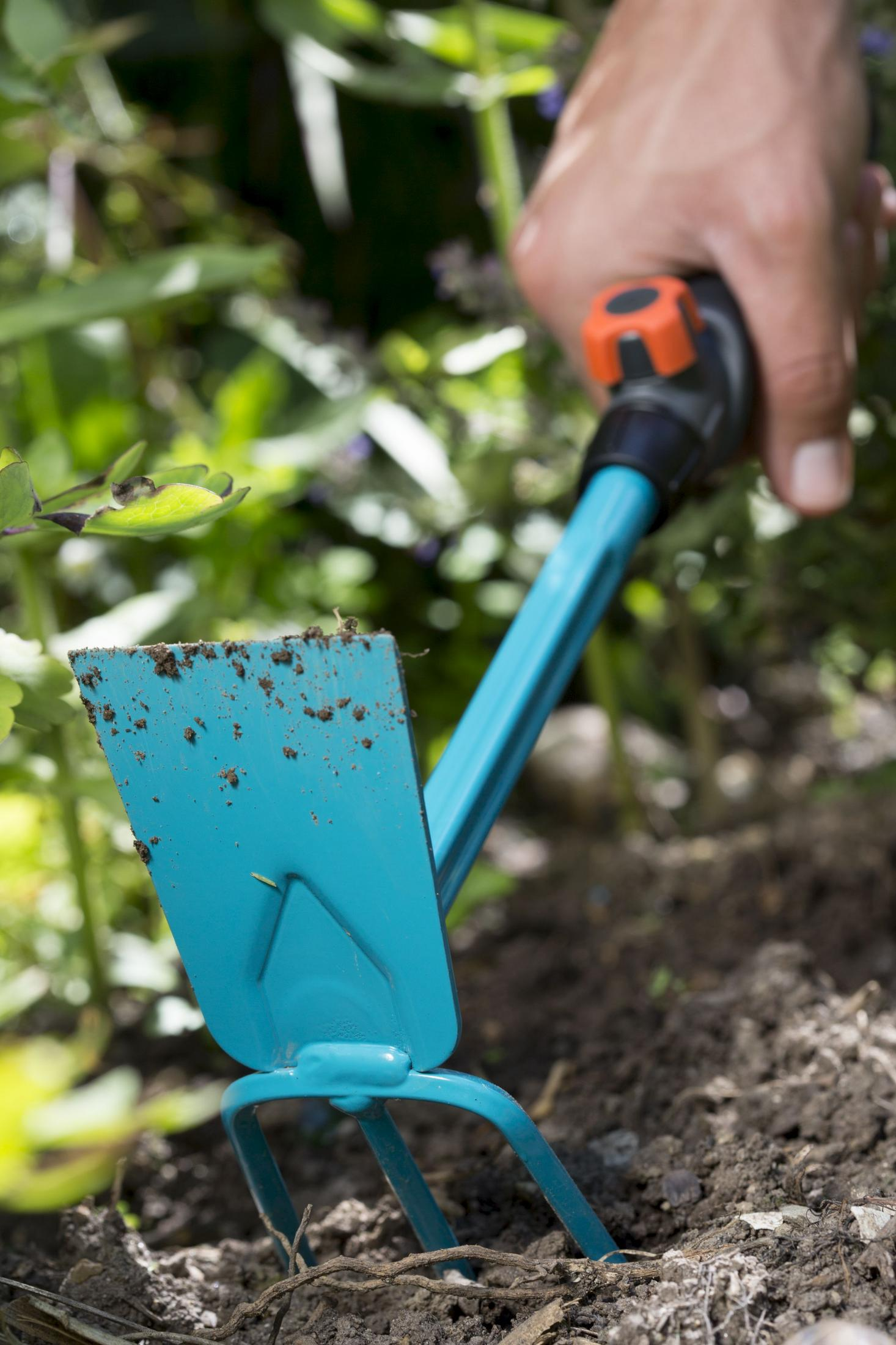 Eine Hand hält ein blaues Gartenwerkzeug mit brauner Erde darauf, im Hintergrund grüne Pflanzen.