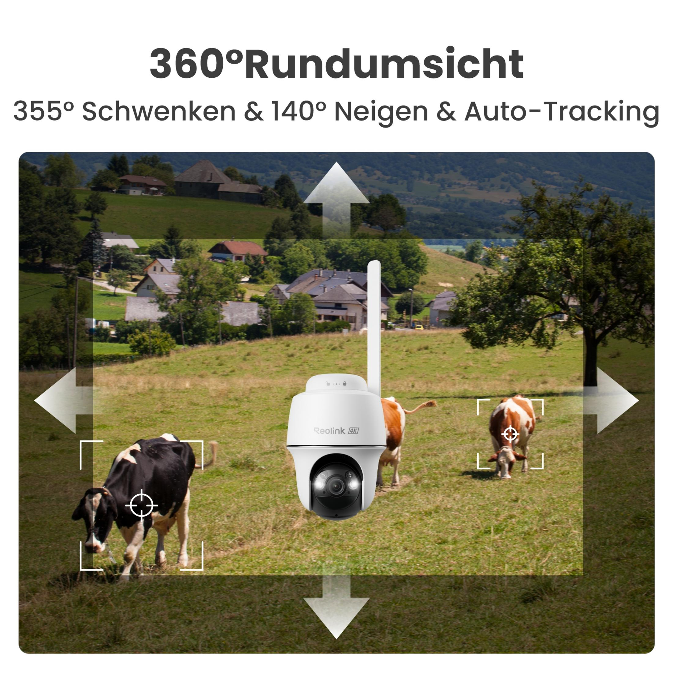 Eine Überwachungskamera erfasst Kühe und Häuser in einer ländlichen Gegend.