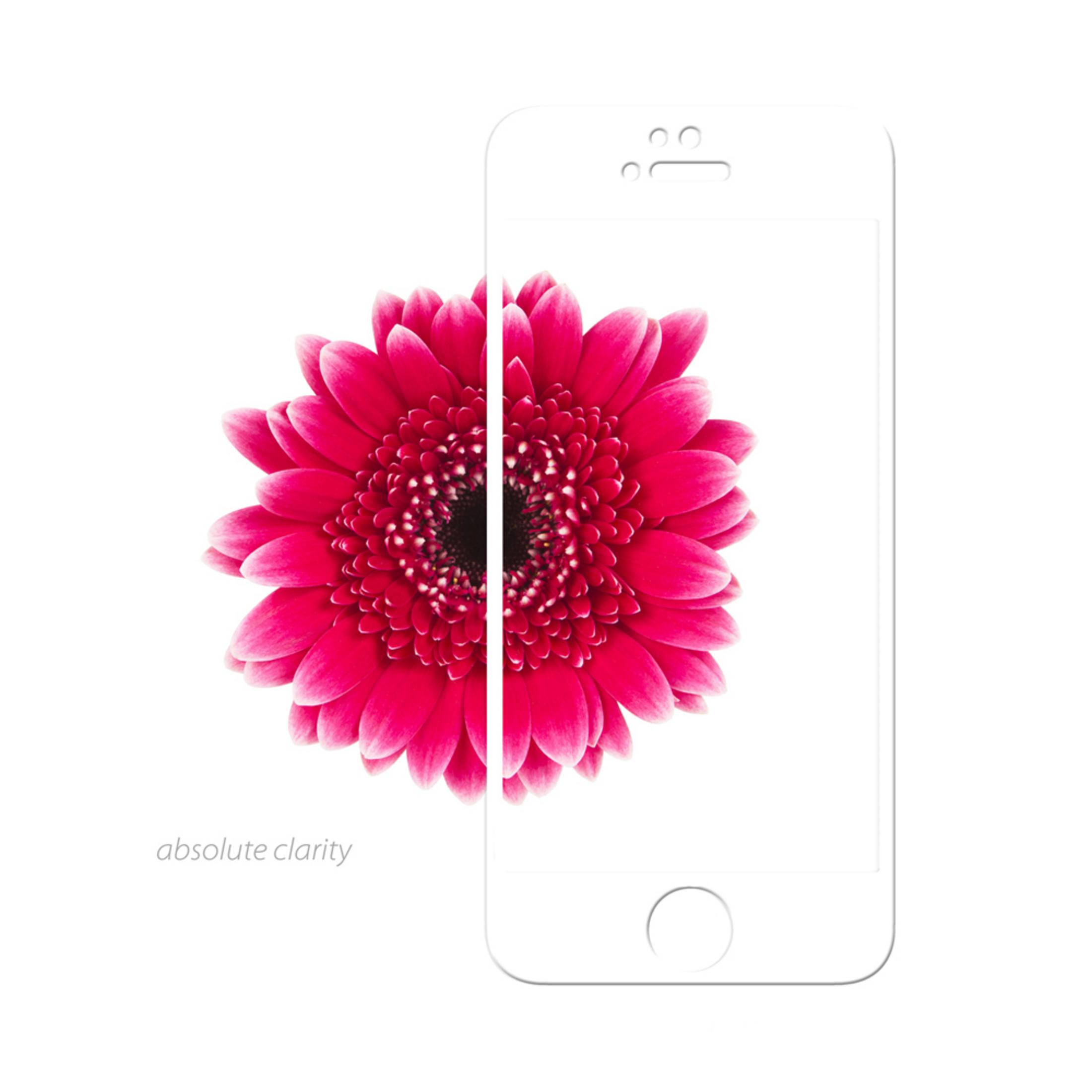 Un fiore Gerbera rosa copre metà del contorno di uno smartphone bianco.