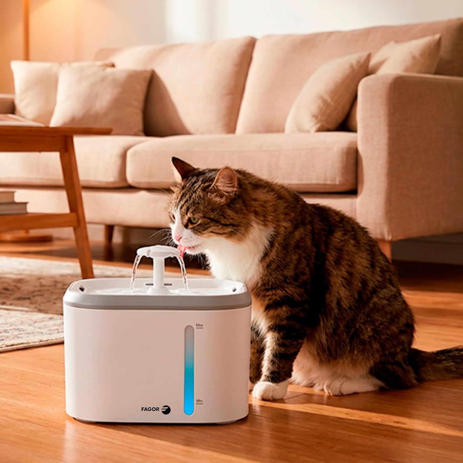 Un gato atigrado bebe de una fuente de agua blanca en una sala.