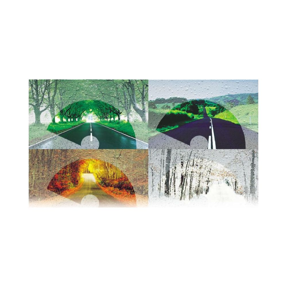 Straßenszenen der vier Jahreszeiten: Frühlings-Grüntunnel, Sommerhügel, Herbstlaub, Winterschnee.