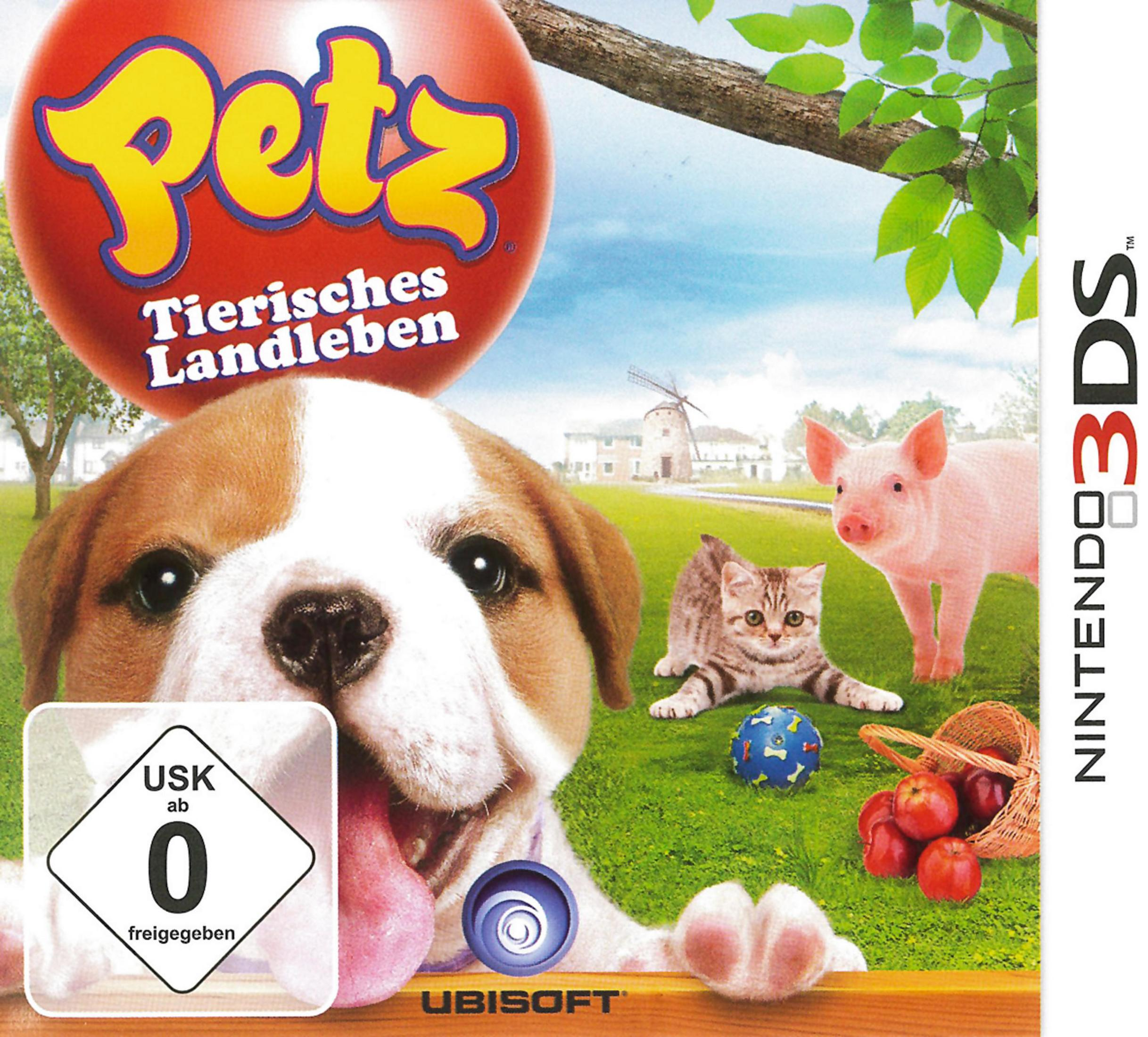 Ein Hund, eine Katze und ein Schwein auf einer grünen Wiese mit Apfelkorb.