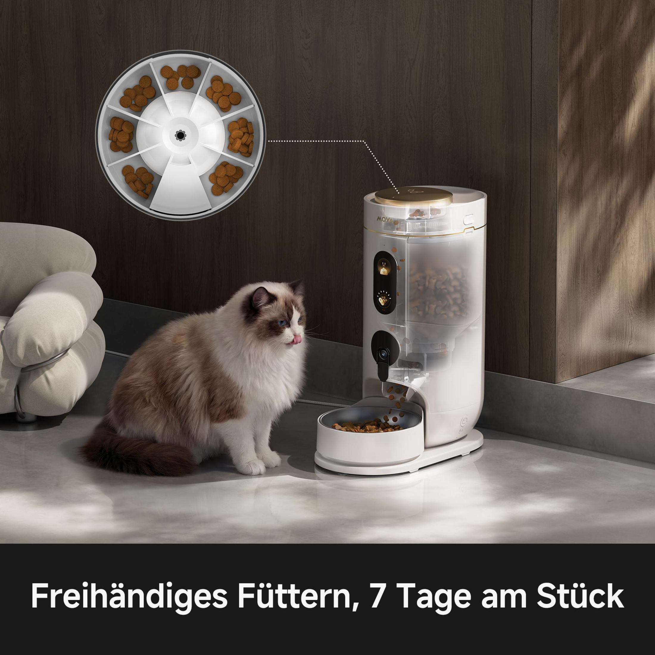 Un gato se sienta junto a un comedero automático que dispensa comida.