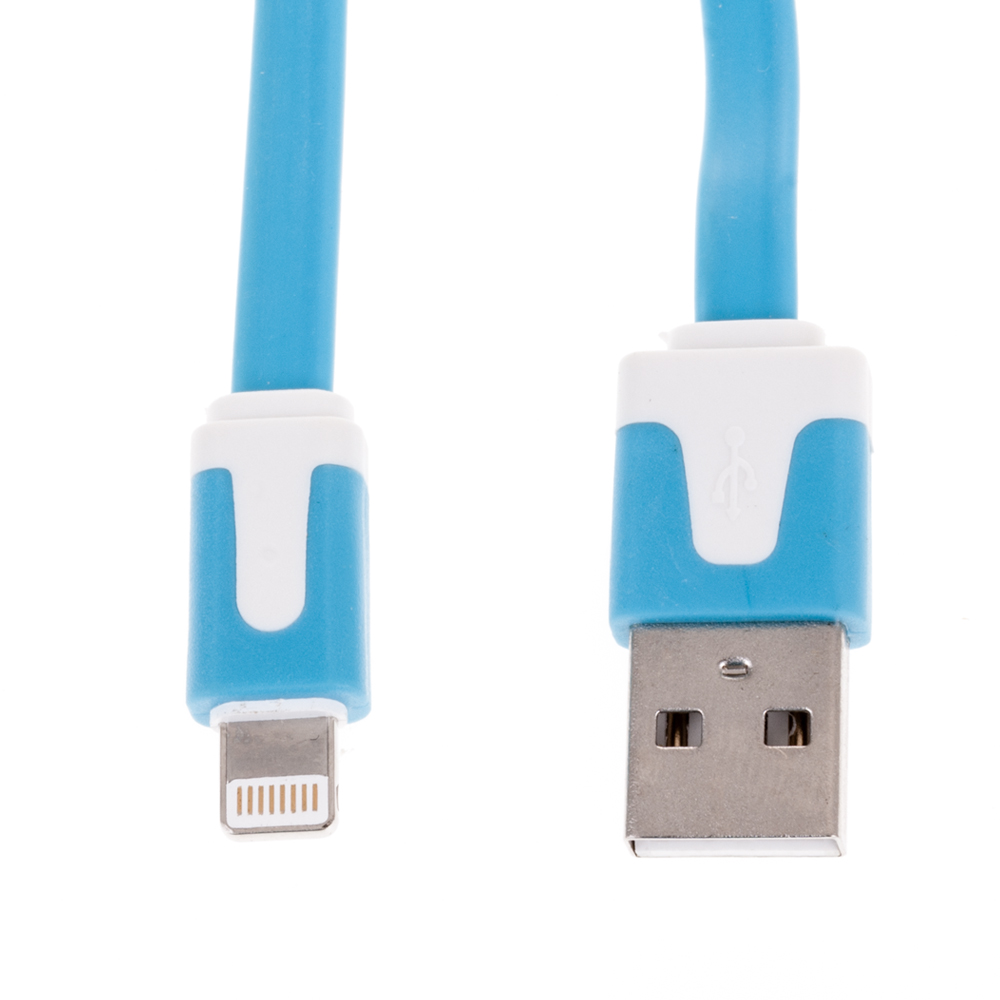 Estremità cavo USB-C e Lightning blu e bianche, con simbolo USB su uno.