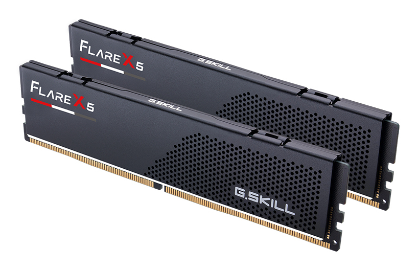 Deux modules RAM G.Skill Flare X5 noirs avec contacts dorés.