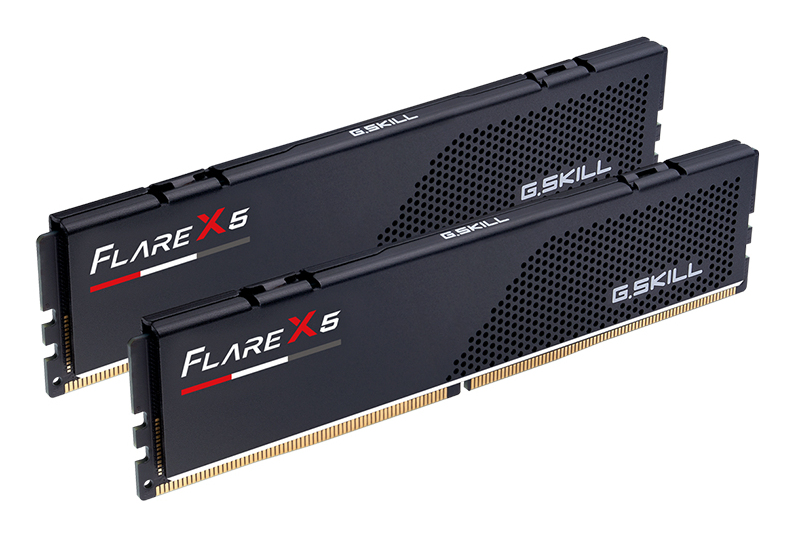 Deux modules RAM G.SKILL Flare X5 noirs avec connecteurs dorés sur fond blanc.