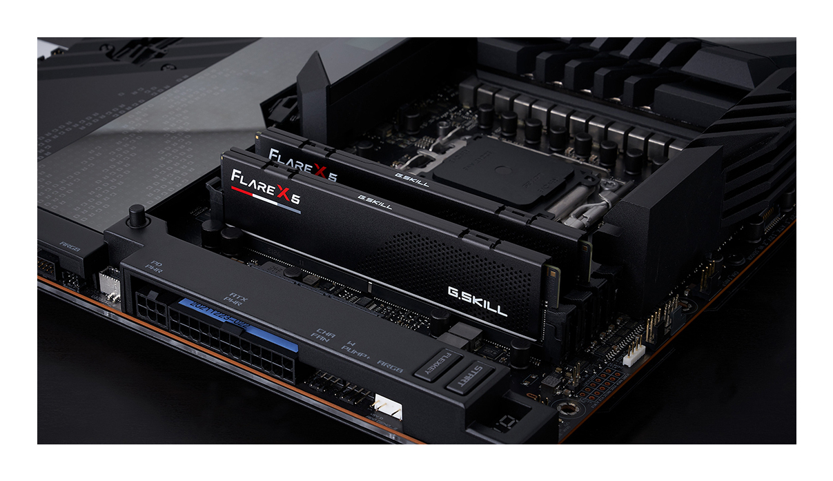 Deux modules RAM G.SKILL noirs sur une carte mère avec connecteurs.