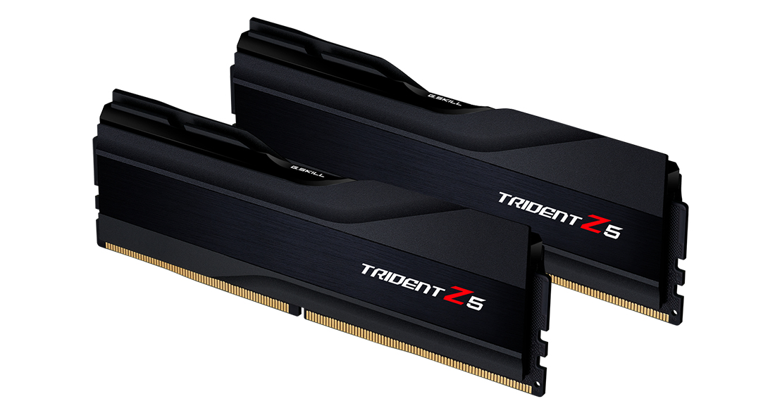 Deux modules RAM noirs G.Skill Trident Z5 avec dissipateurs.