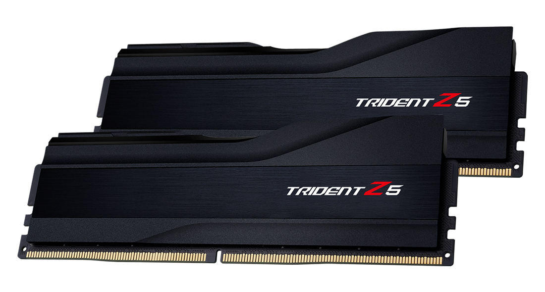 Deux modules RAM noirs avec le logo "TRIDENT Z5" sur fond blanc.
