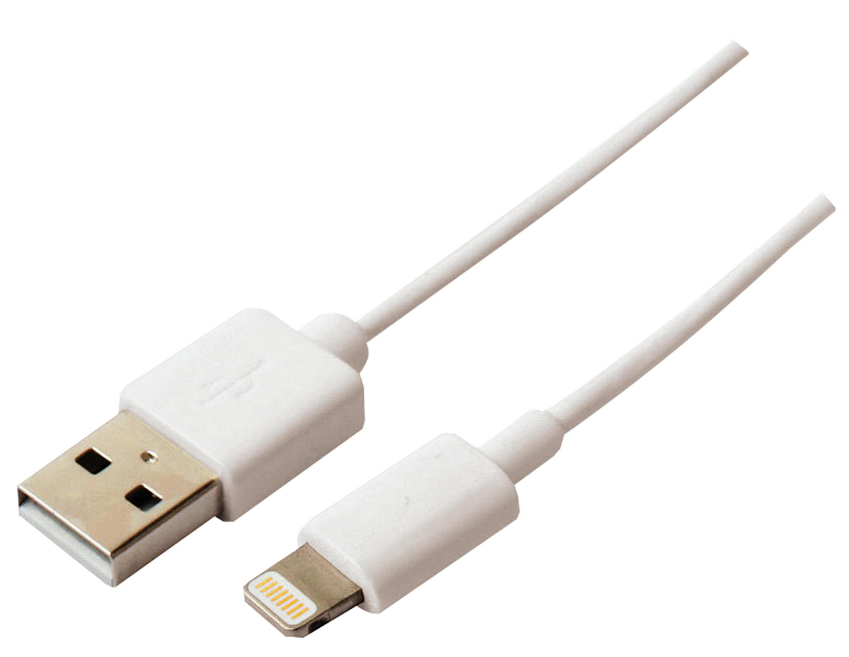 Un cavo da USB a Lightning bianco con connettori metallici, isolato su bianco.
