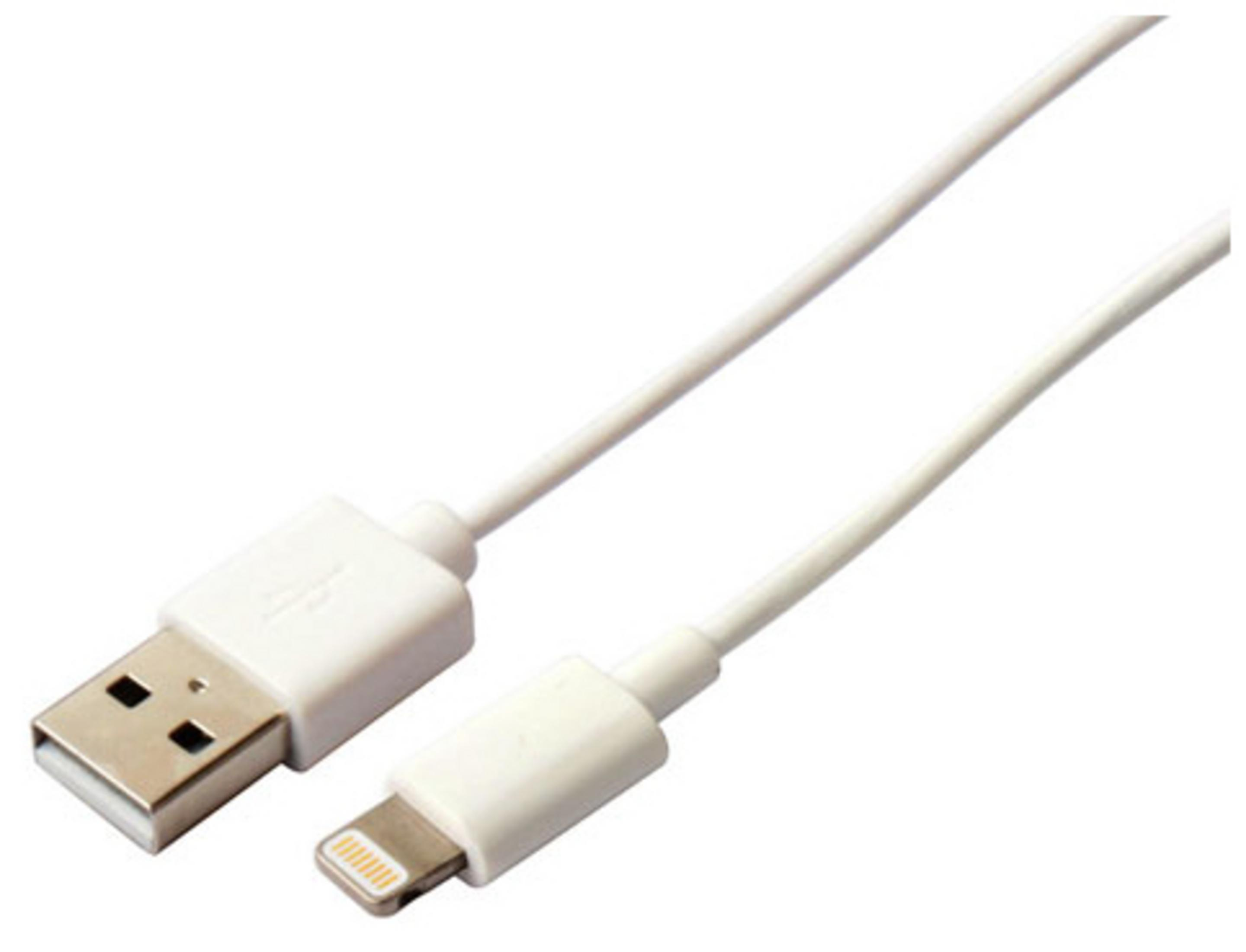 Un cavo da USB a Lightning bianco con entrambi i connettori a fuoco.
