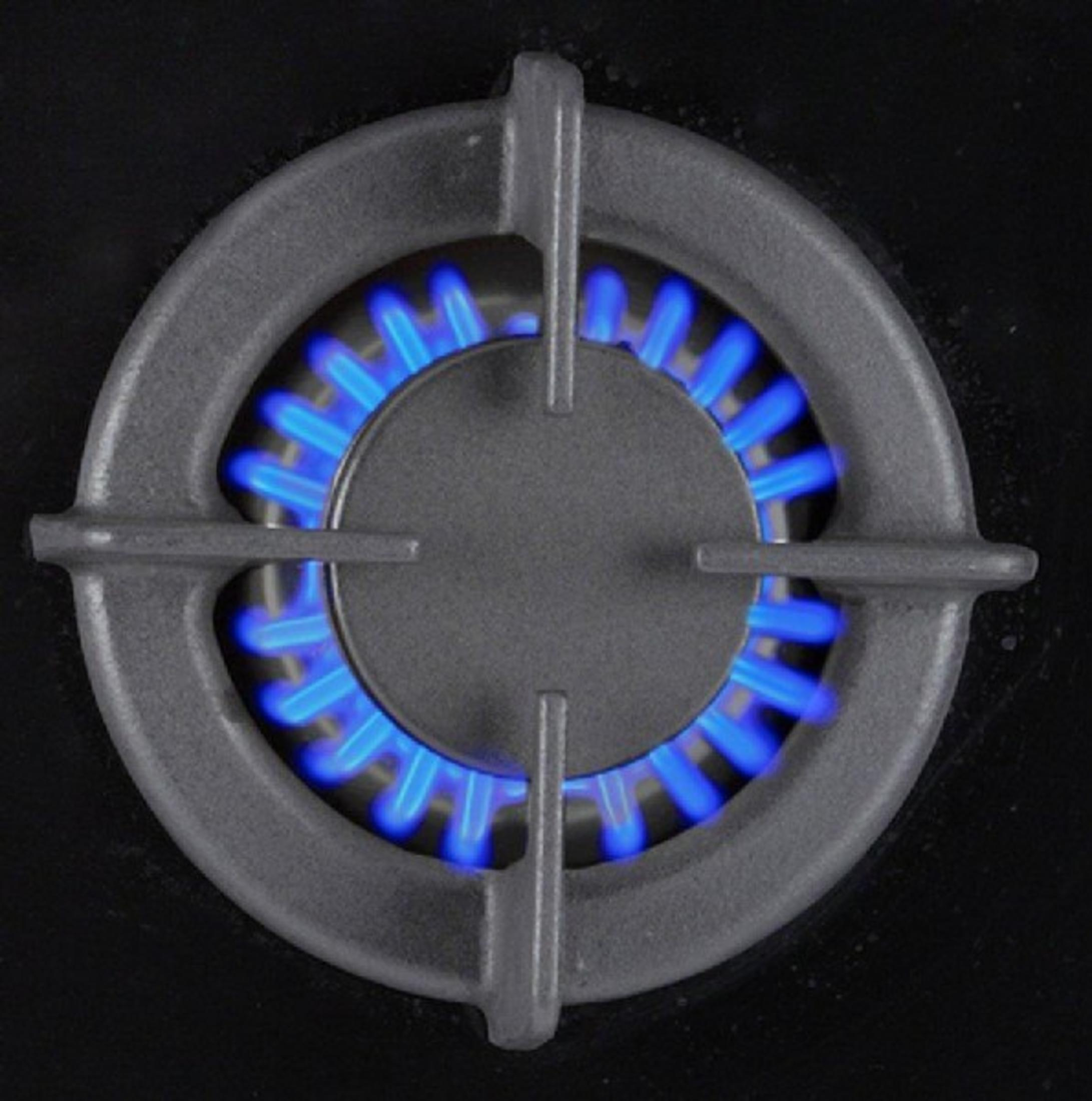 Un quemador de gas con llamas azules sobre fondo negro.