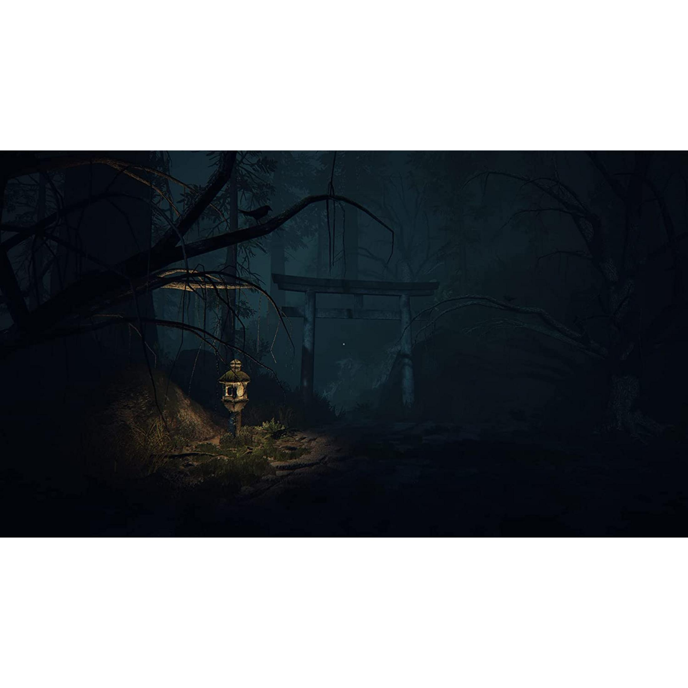 Un cancello torii in una foresta oscura con una lanterna sul lato sinistro.