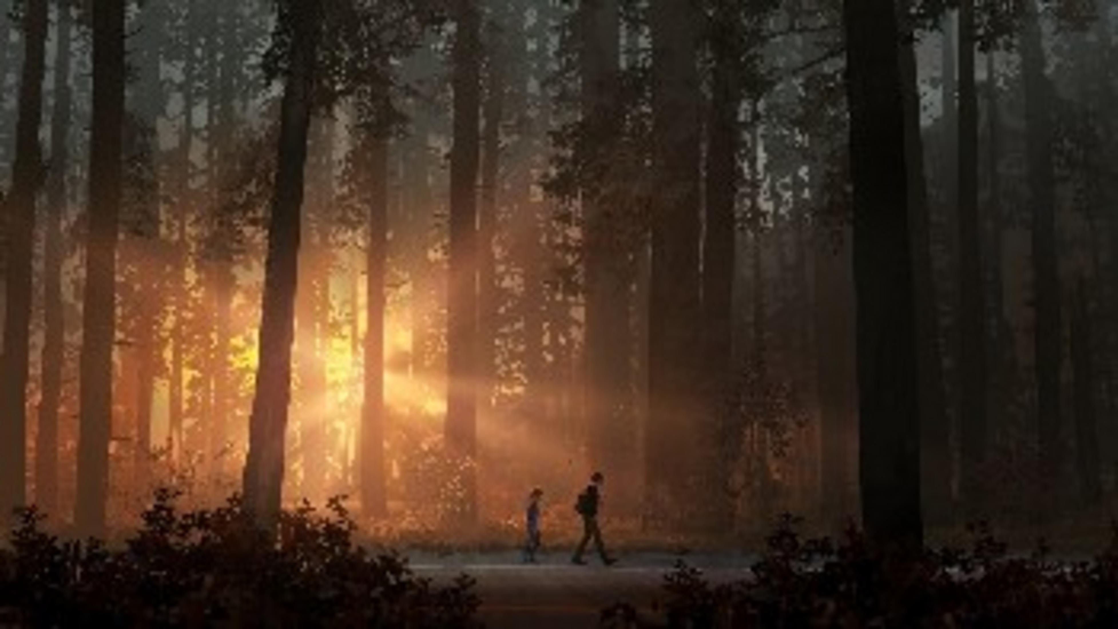 Two people walk through a sunlit forest. Beams of light filter through the trees.