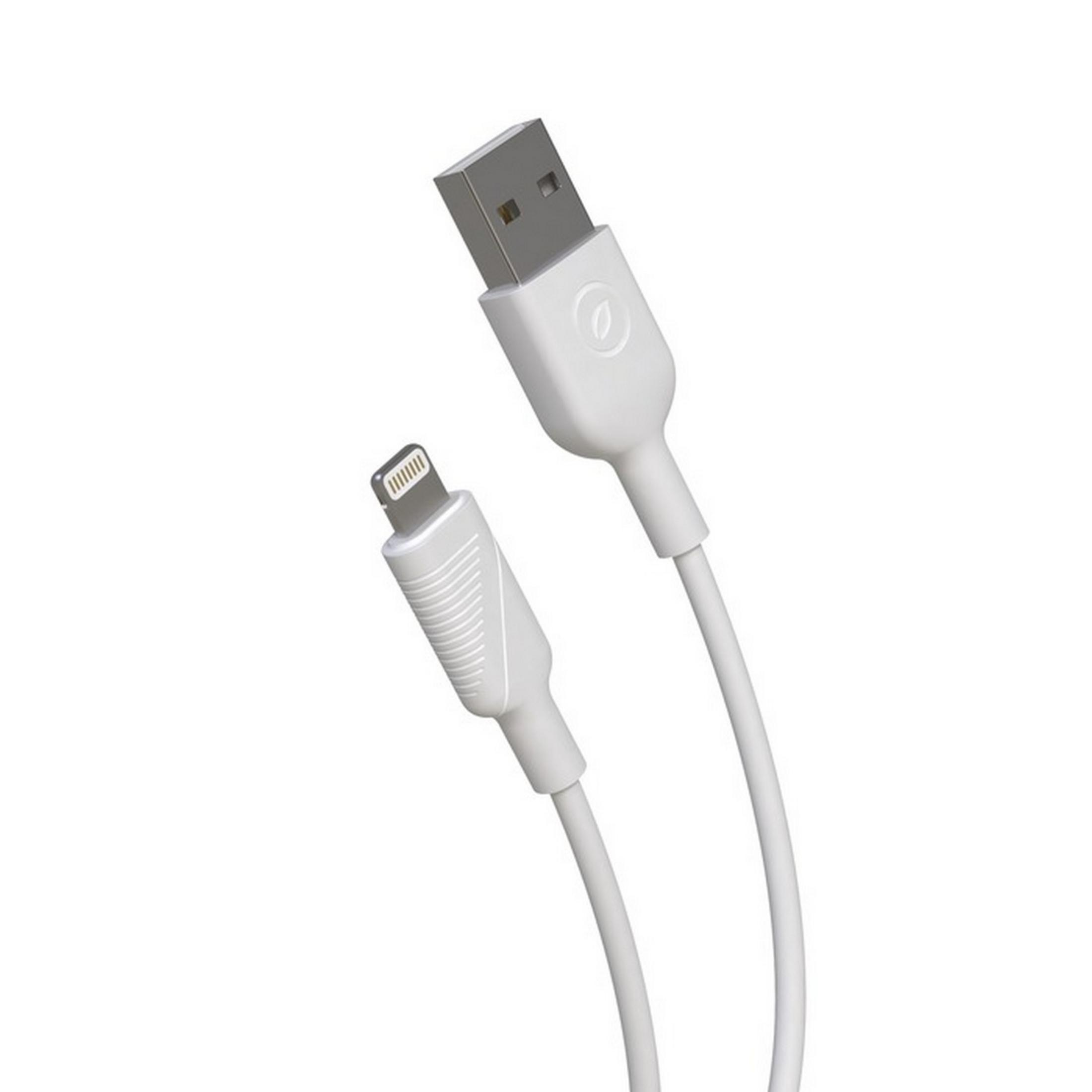 Un cable blanco USB-C a Lightning con conectores plateados.